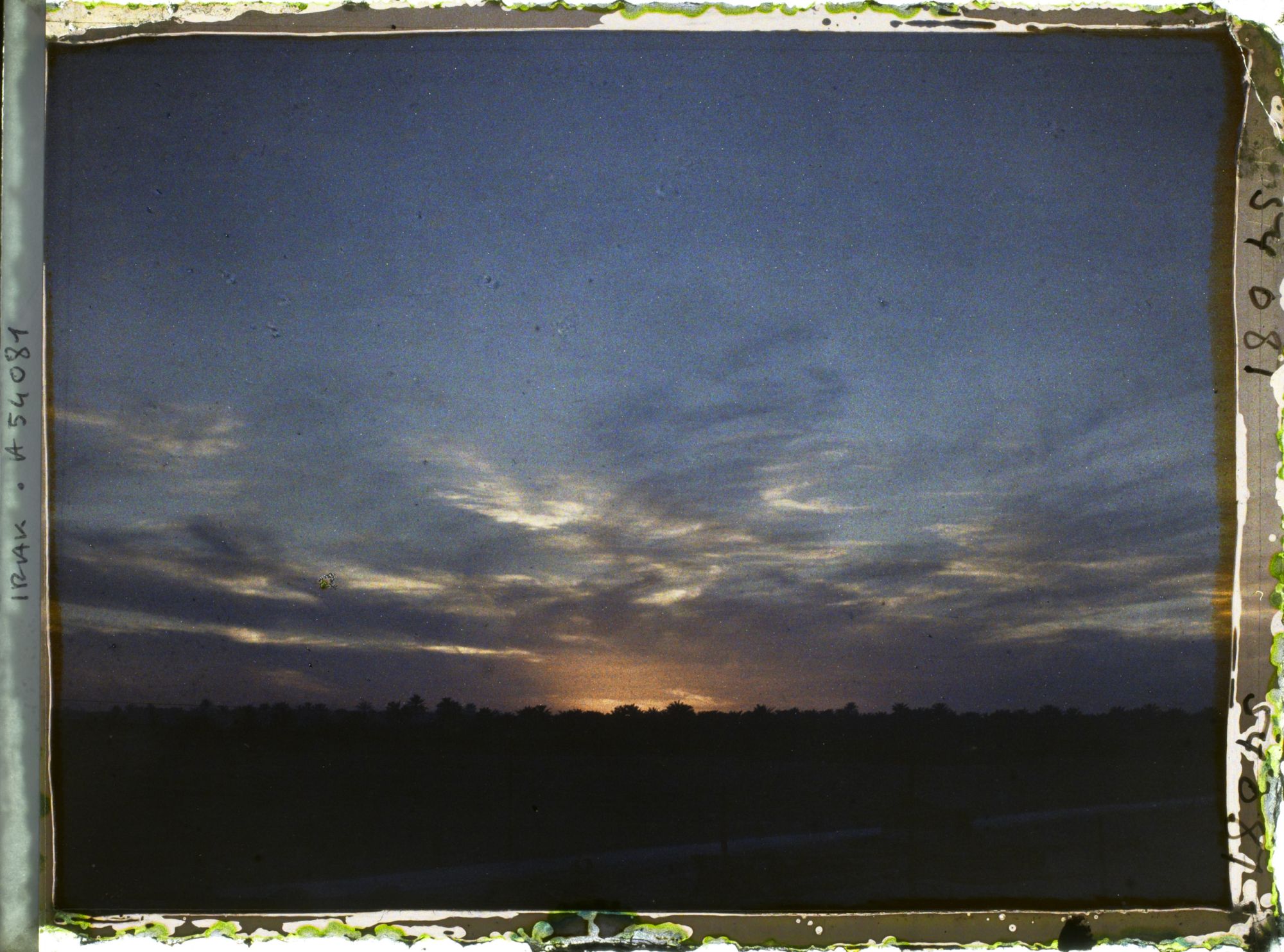 Image représentant Coucher de soleil sur les palmeraies