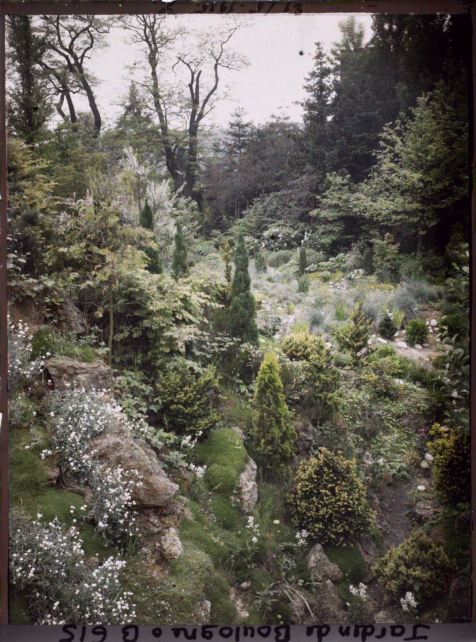 Image représentant Rocaille en pente du " jardin chinois ", ponctuée de conifères et proche du " sanctuaire japonais "