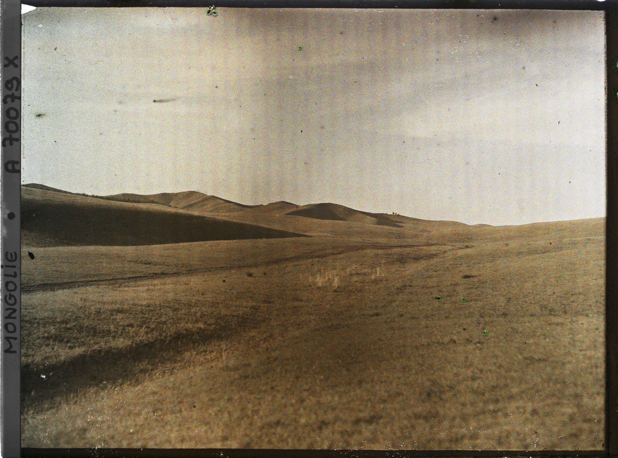 Image représentant La piste à travers la steppe