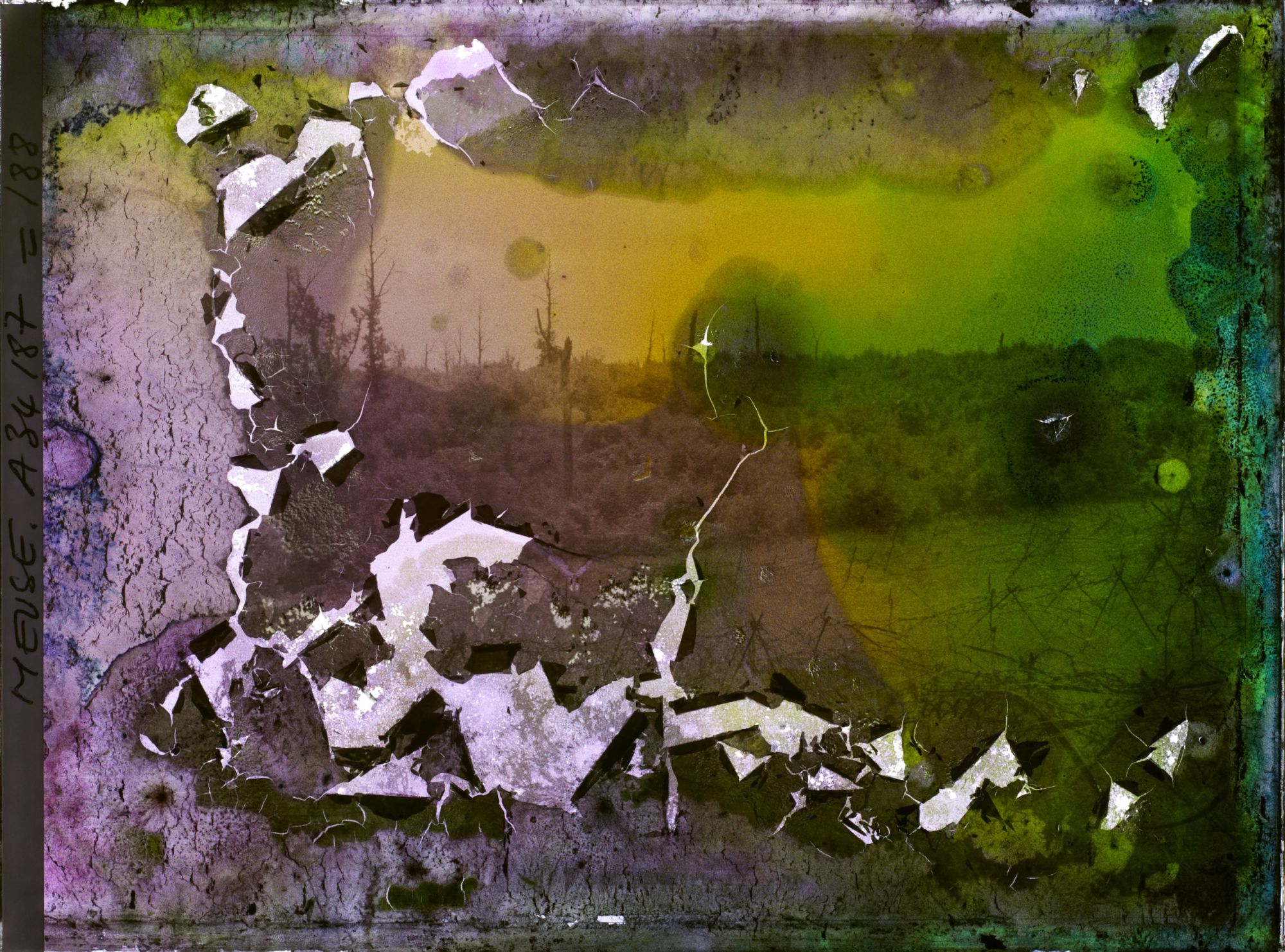 Image représentant France, Bois-Yuca, Réseaux à la lisière Nord du Bois Yuca