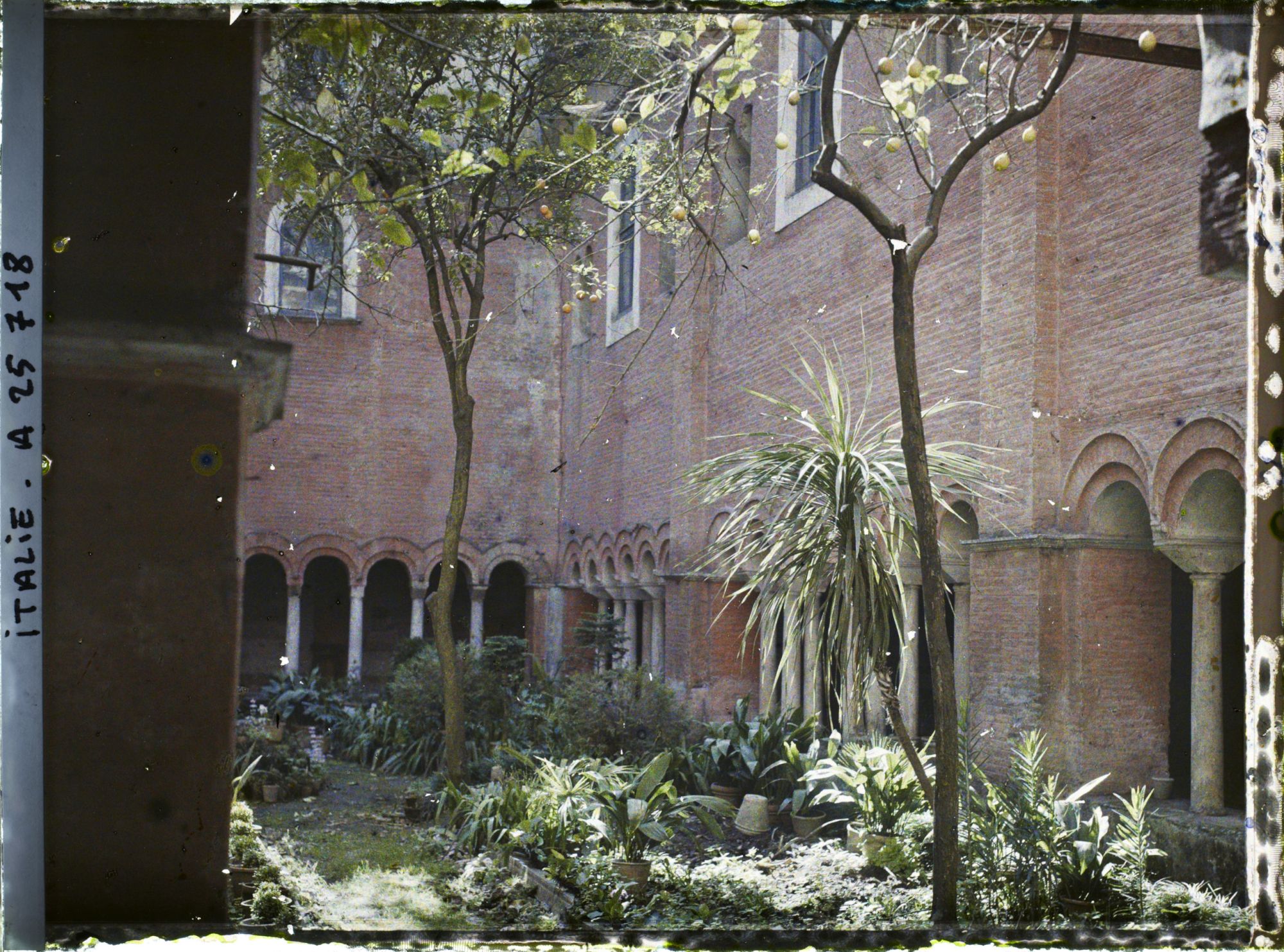 Image représentant Cloître de la basilica di San Lorenzo fuori le mura