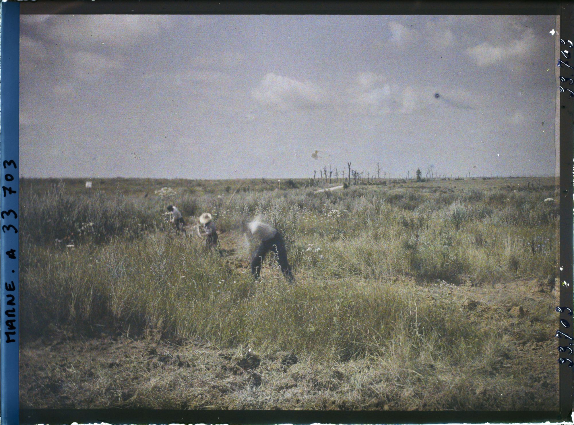 Image représentant France, Reims