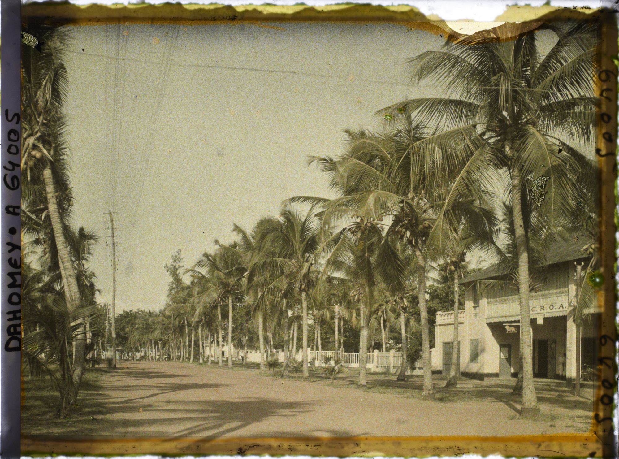Image représentant L'avenue de la Lagune dans le quartier européen