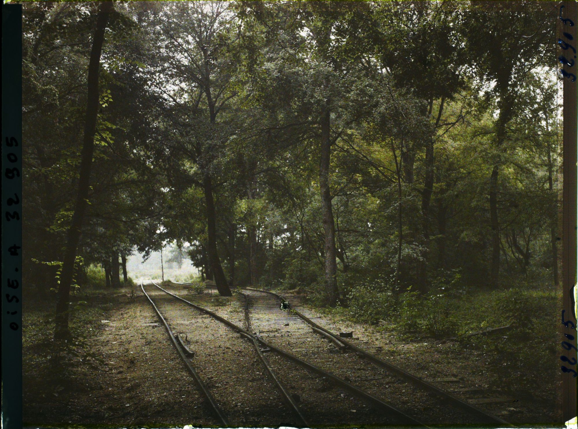 Image représentant France, Forêt de Compiègne, Voie du Chin de fer dans la forêt