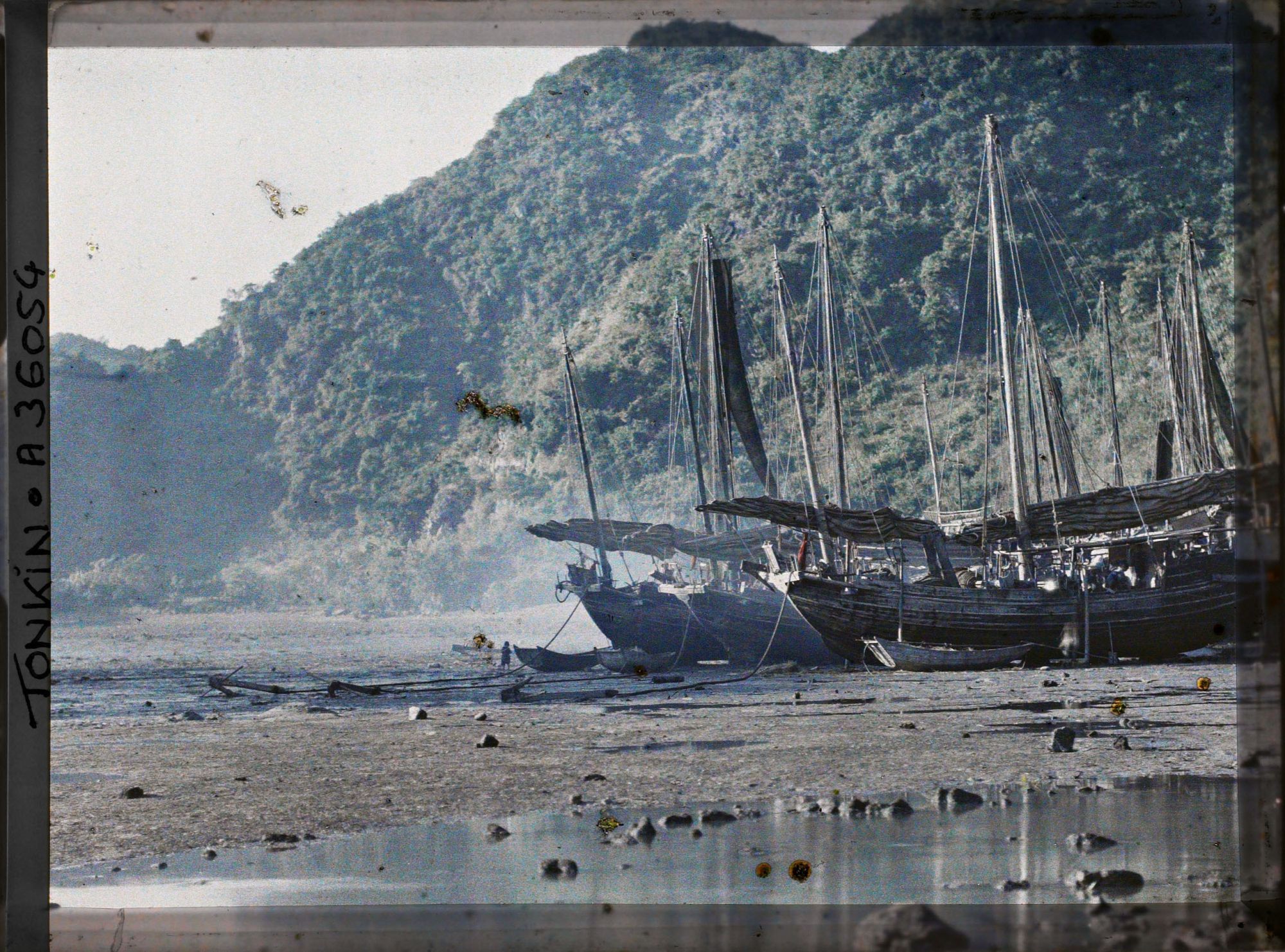 Image représentant Le flambage annuel des jonques sur la grève de l'île Cat-bà