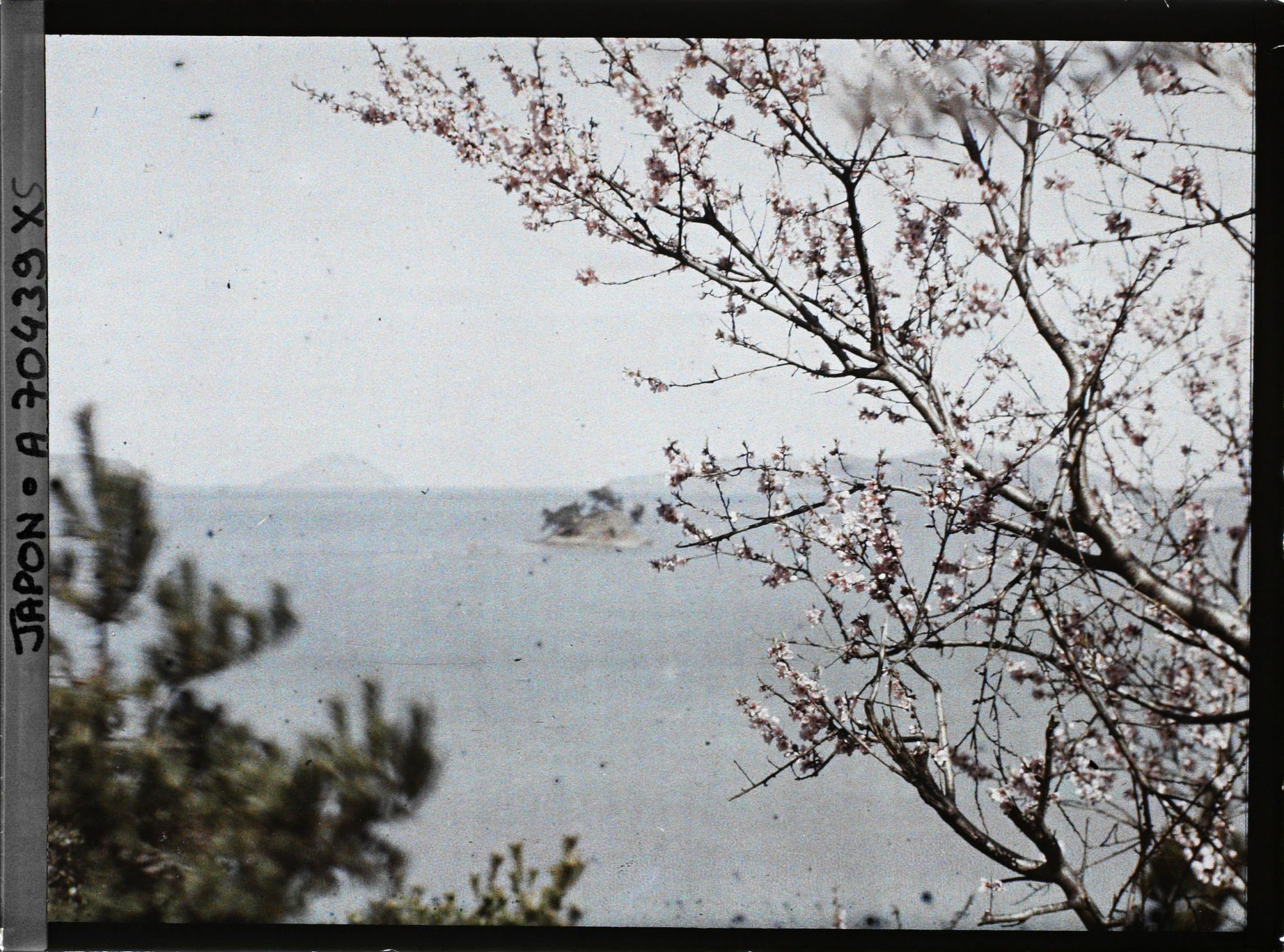 Image représentant Baie de Hakata et de ses îles