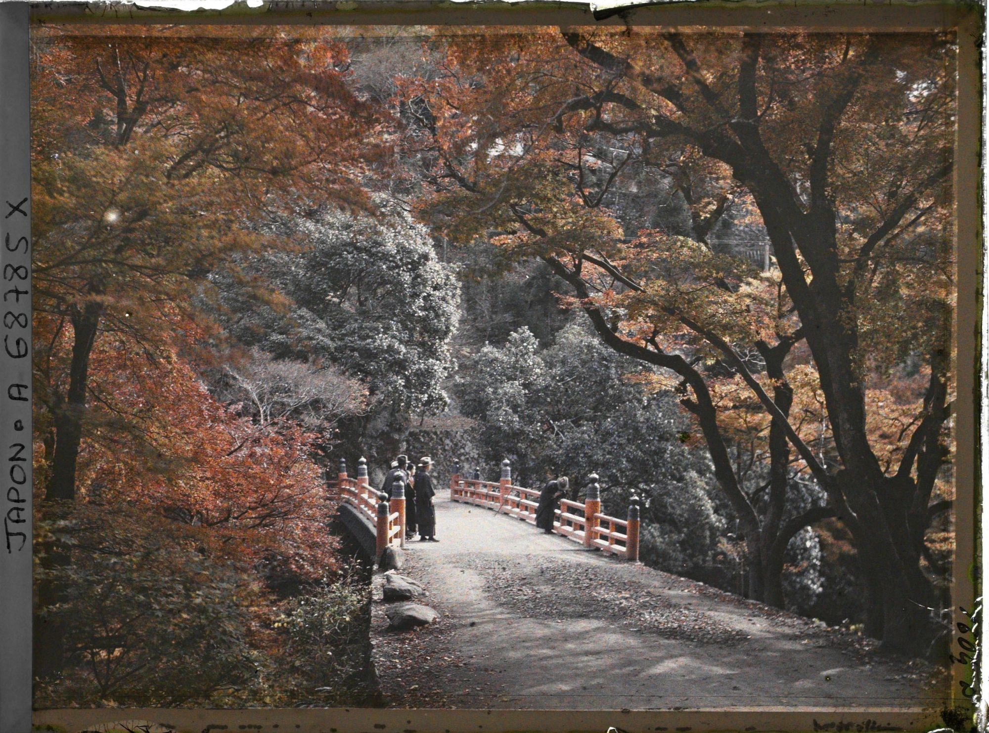 Image représentant érables et pont sur la rivière Kiyotaki-gawa