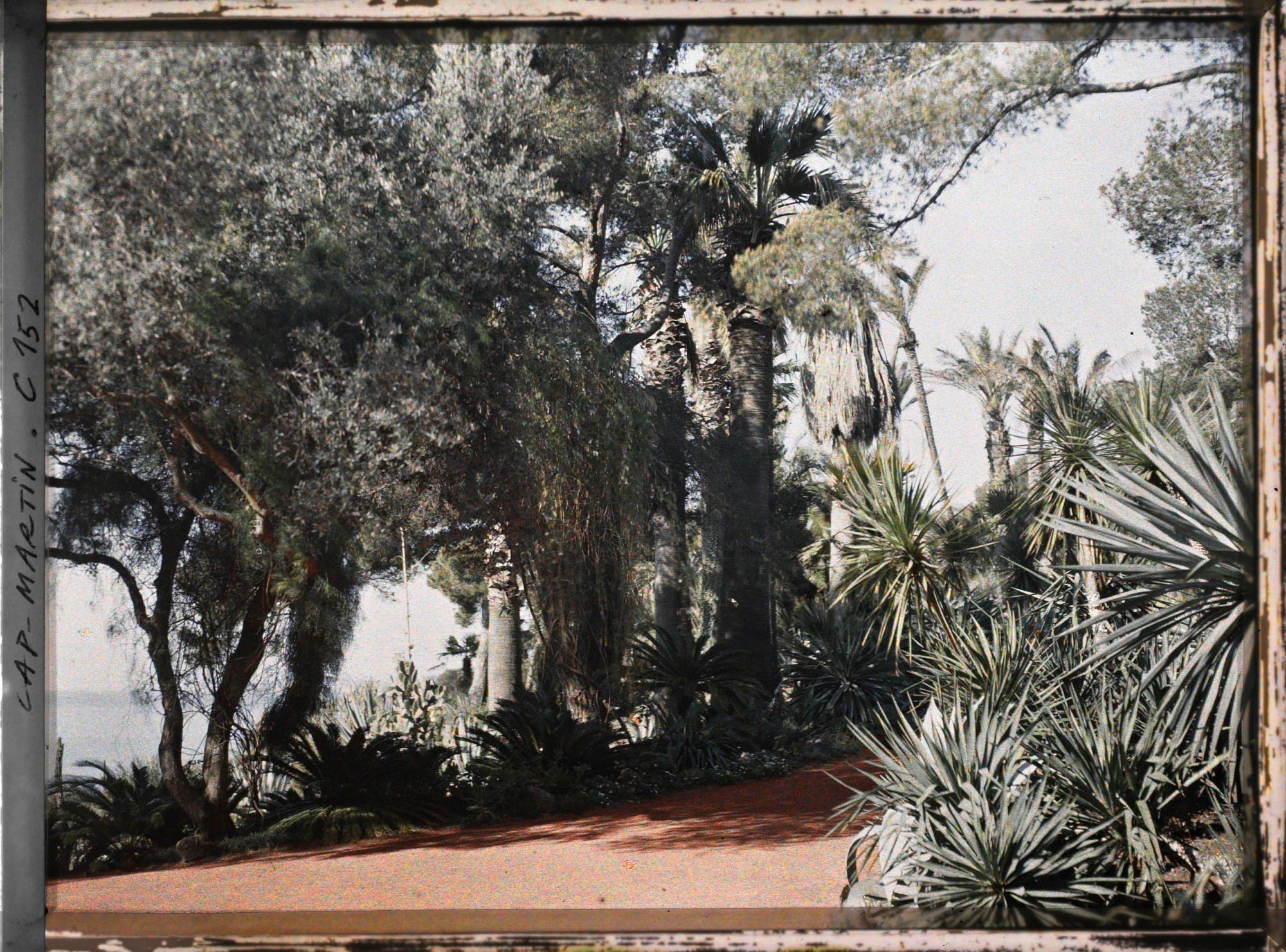 Image représentant Cap Martin - Le Jardin