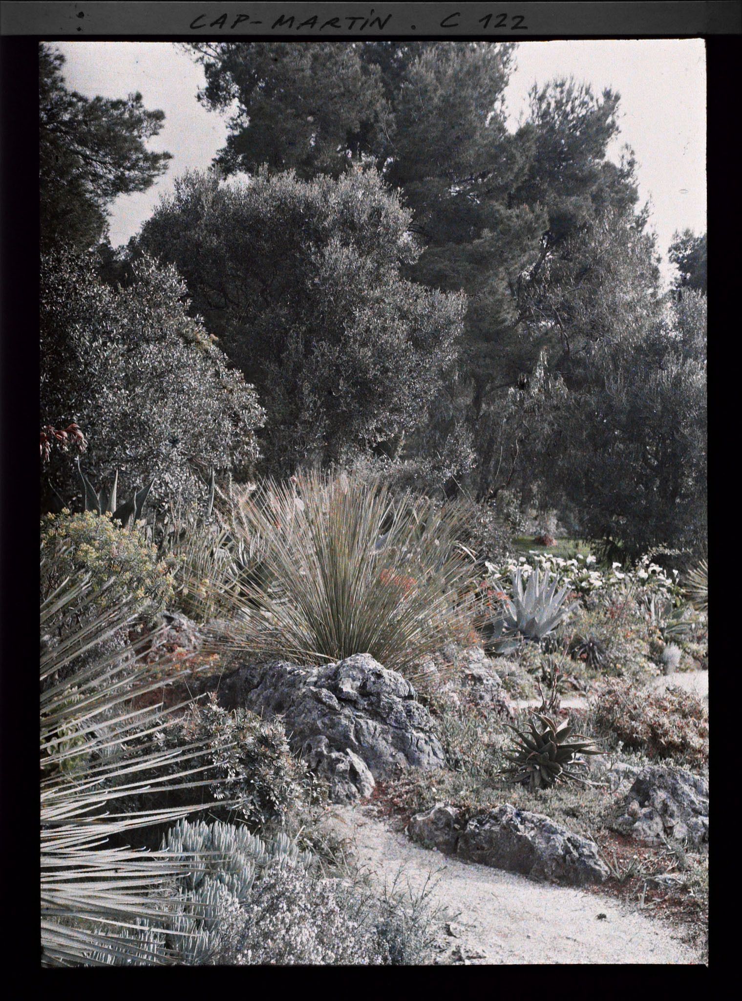 Image représentant Le jardin