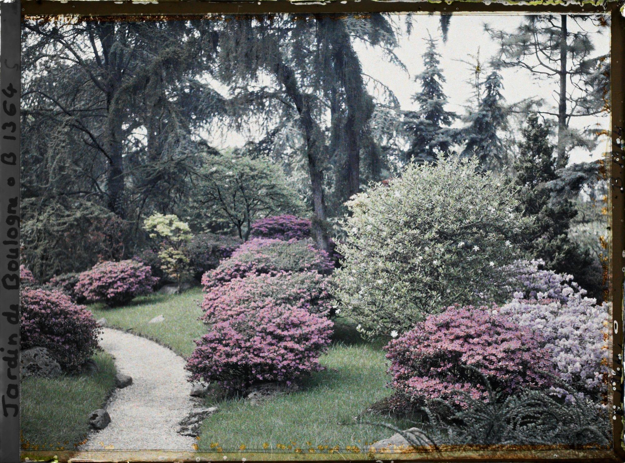 Image représentant Chemin du " sanctuaire japonais " bordé d'érables et d'azalées, à la sortie du " village japonais "