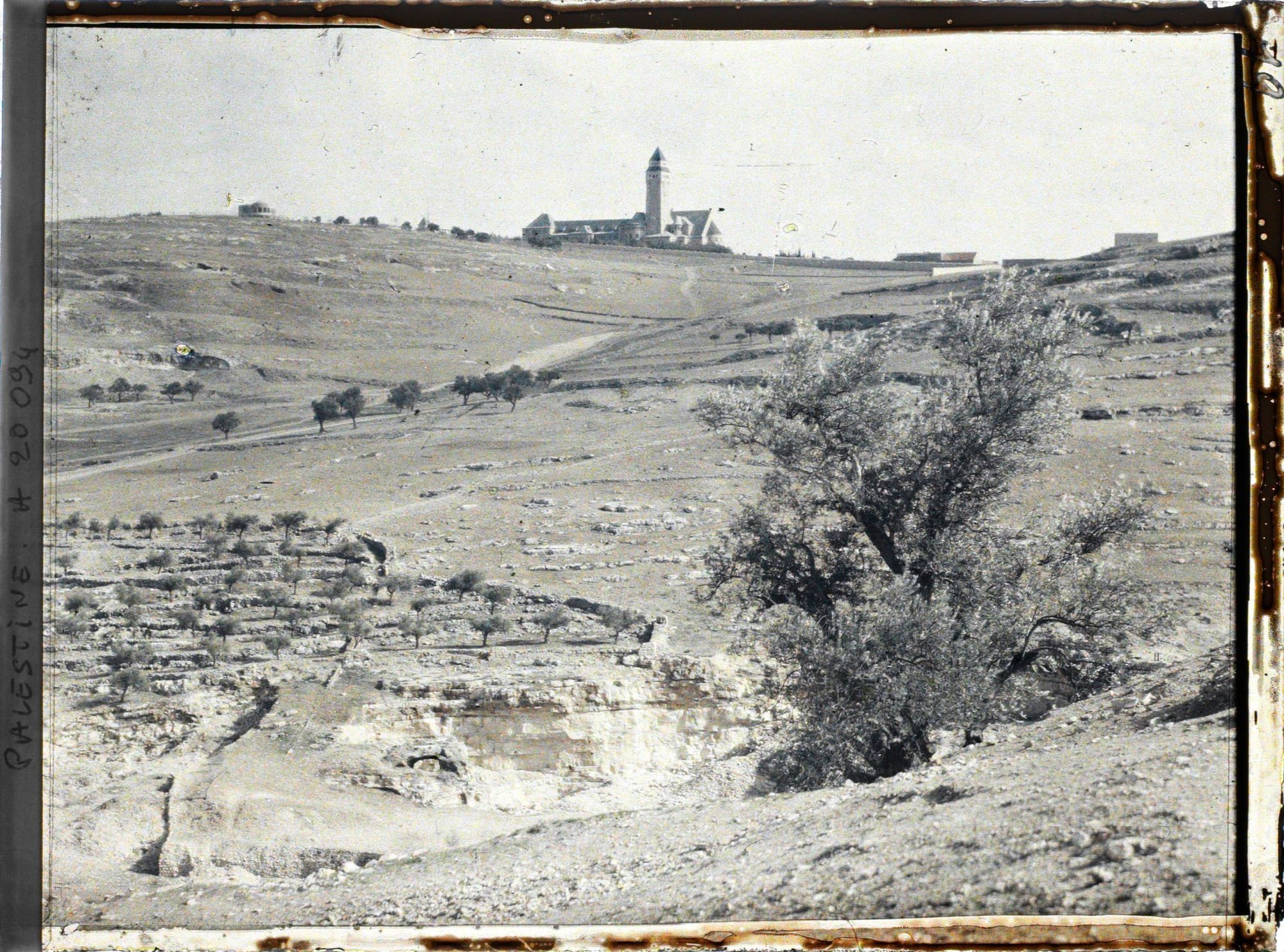 Image représentant L' hôpital Augusta Victoria sur le Mont des Oliviers