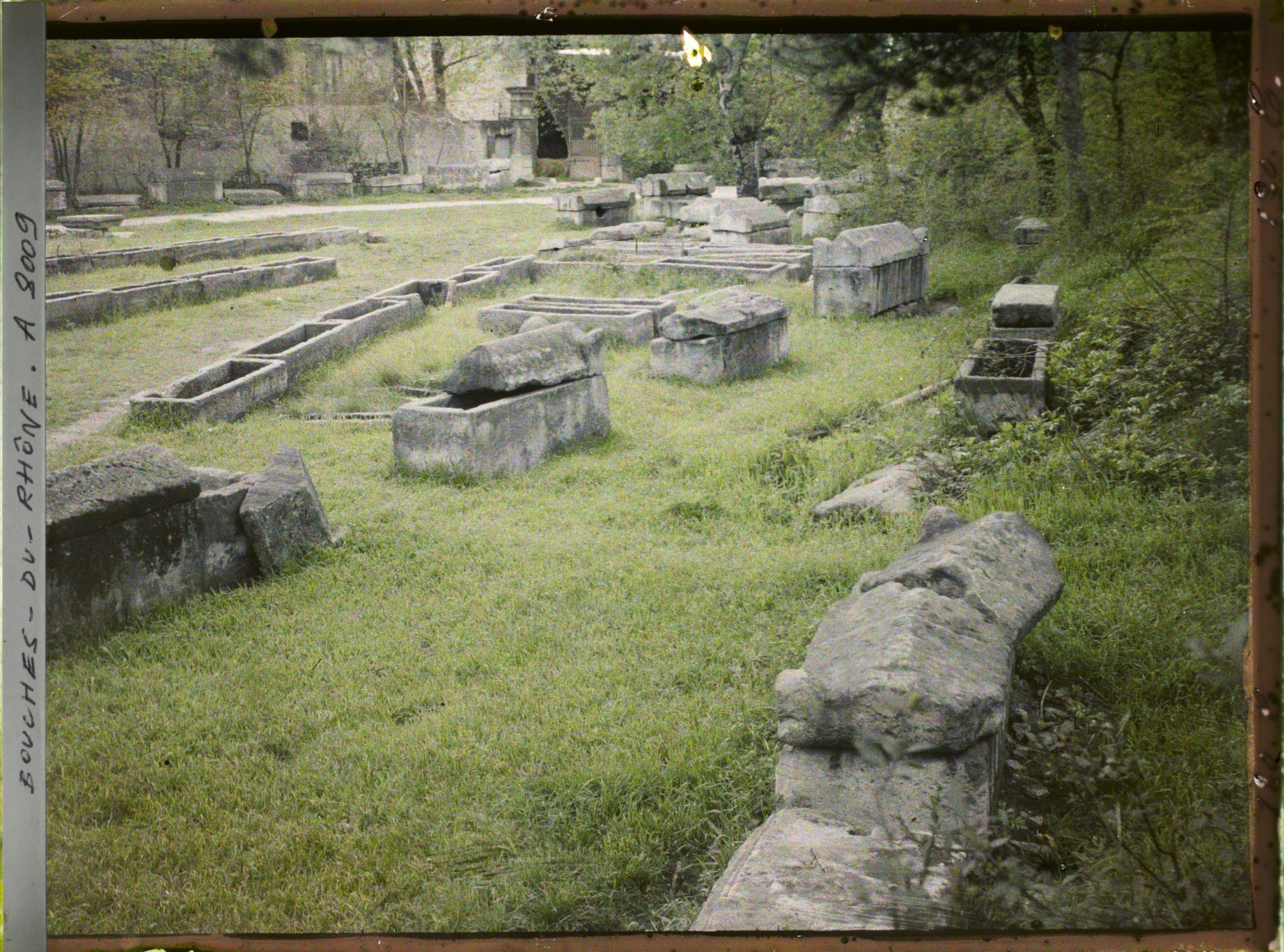 Image représentant Sarcophages sur le site des Alyscamps, près de l'église Saint-Honorat