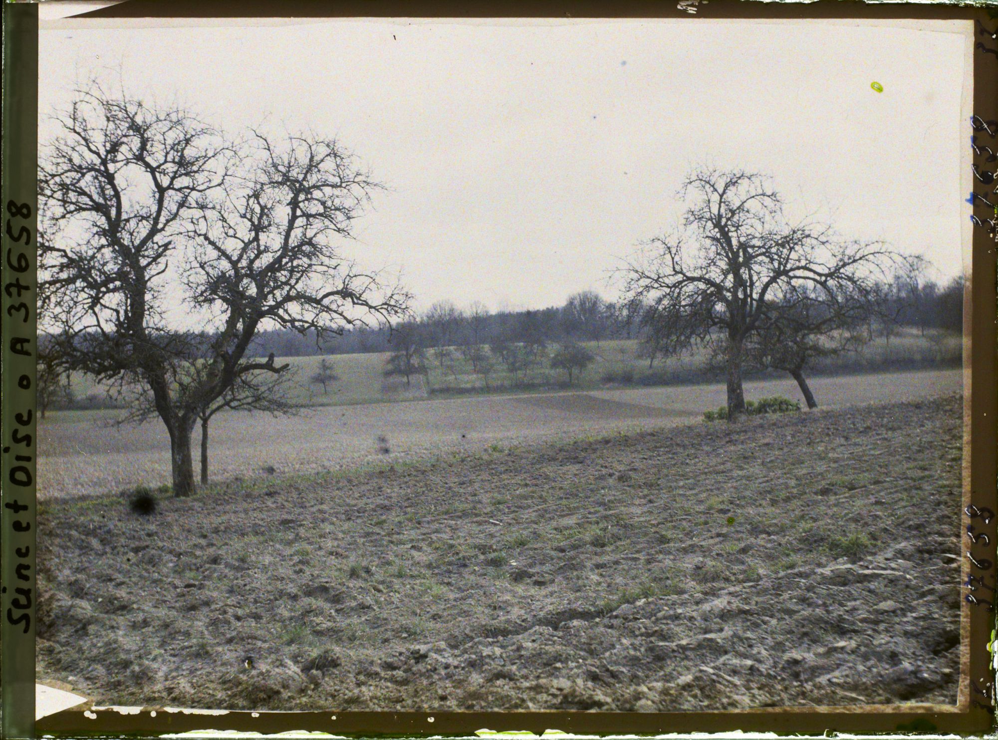Image représentant France, Les Clayes, Les Champs au Sud du Village