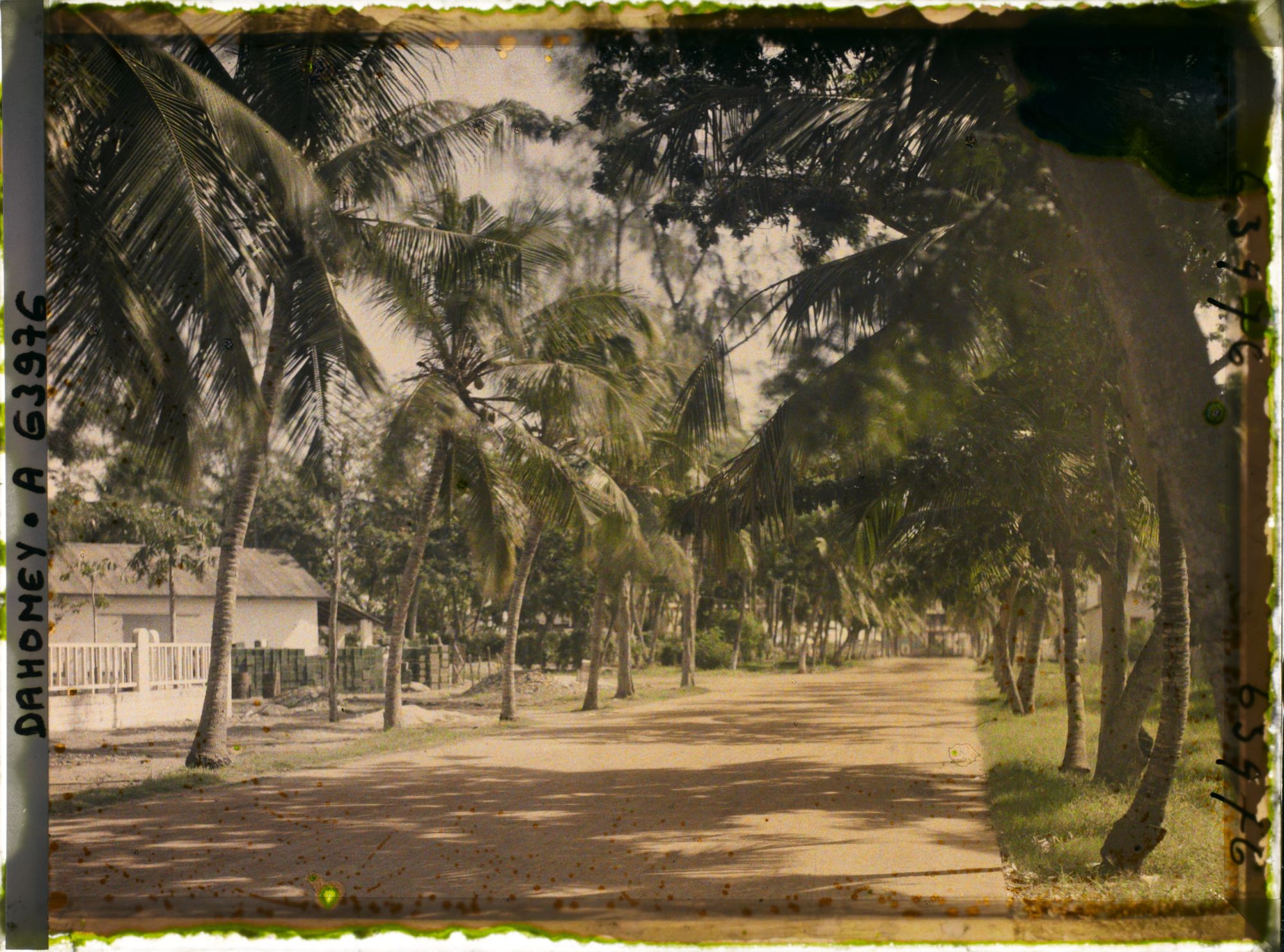 Image représentant L'avenue de la Douane, dans le quartier européen