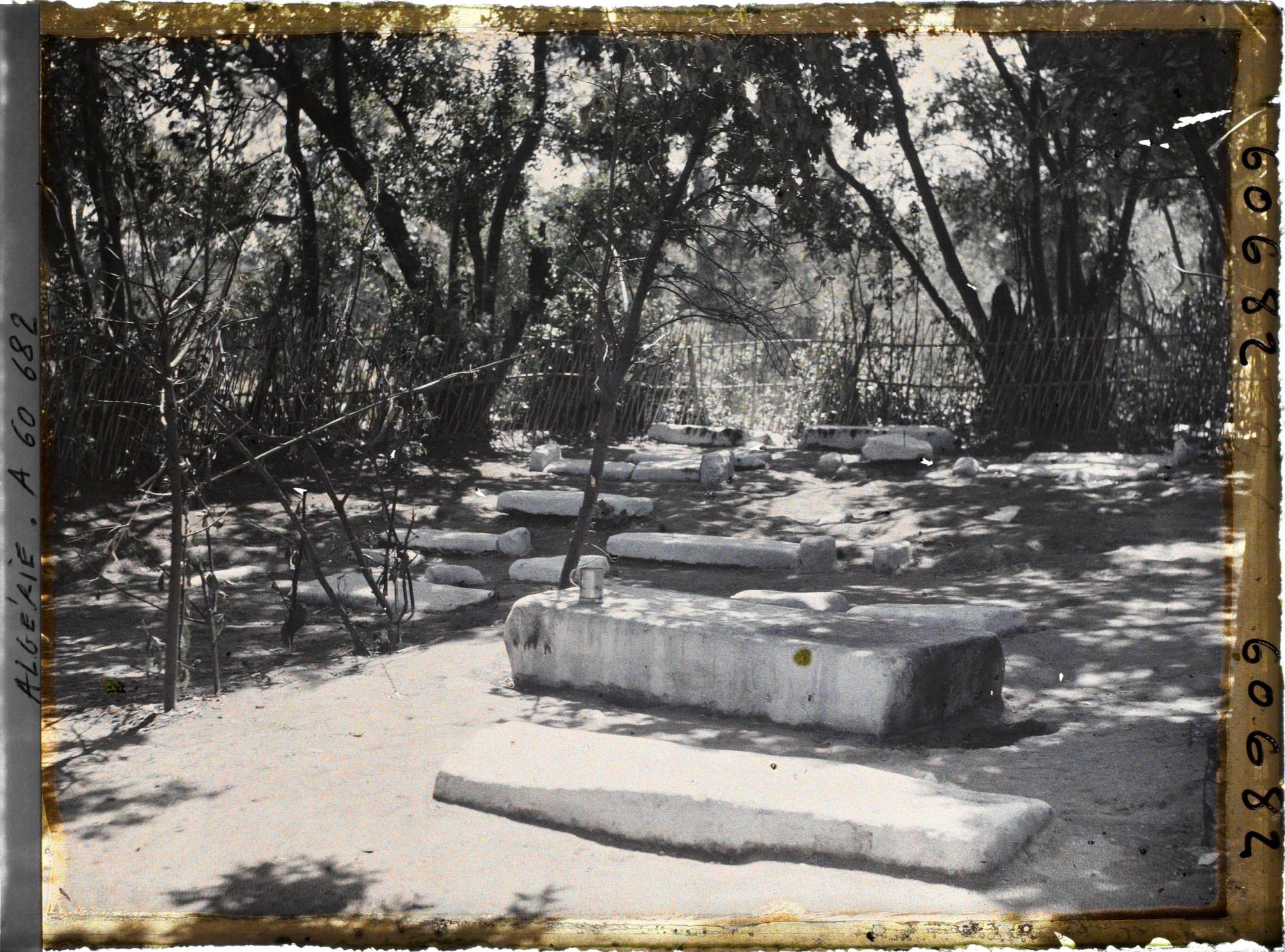 Image représentant La tombe du Rabb Ankaoua dans le cimetierre israélite