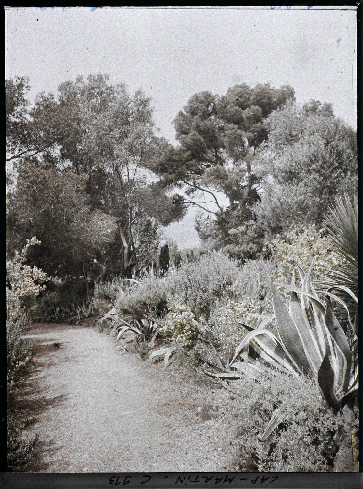 Image représentant Le Jardin