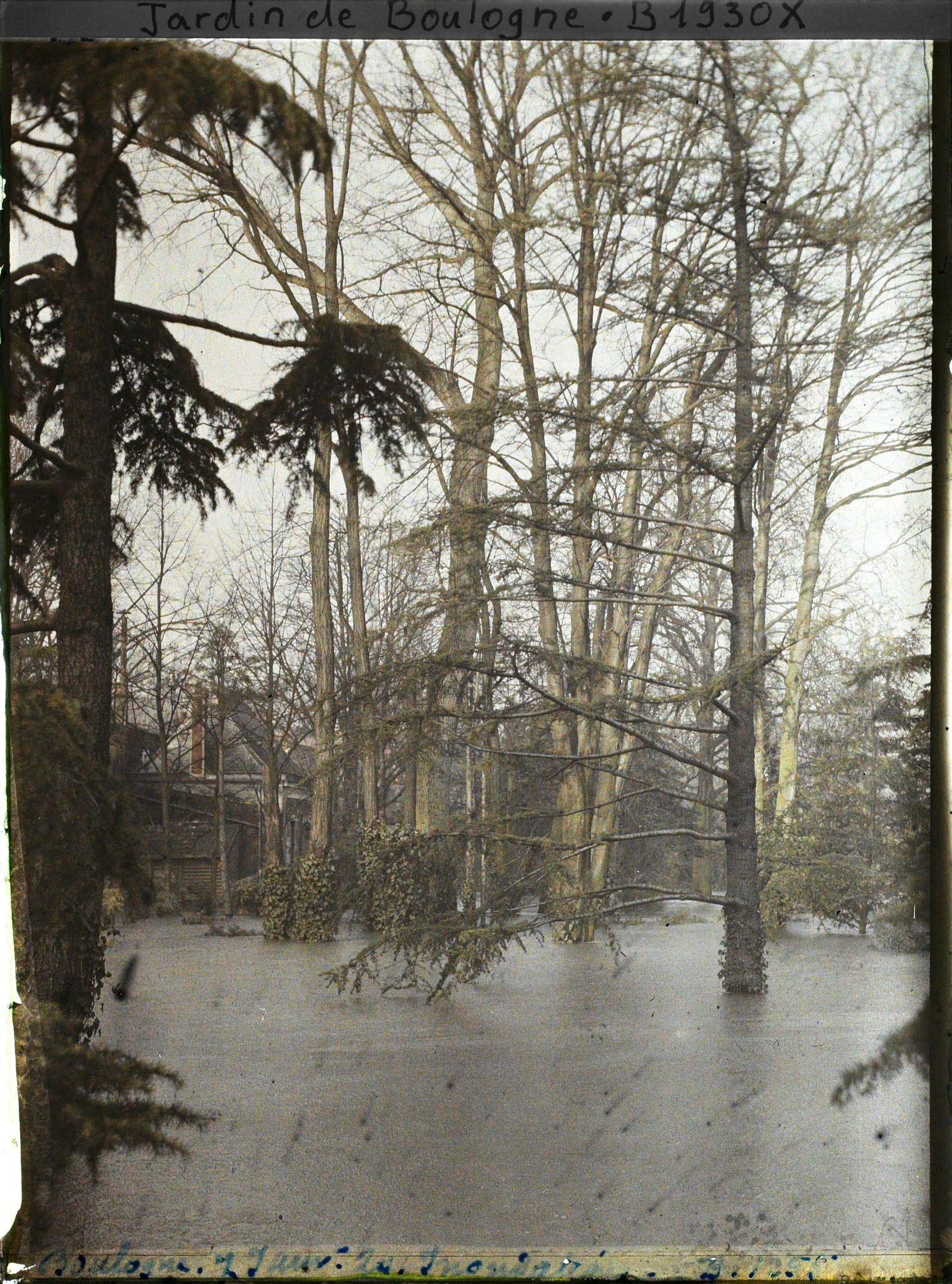 Image représentant la grande pelouse inondée