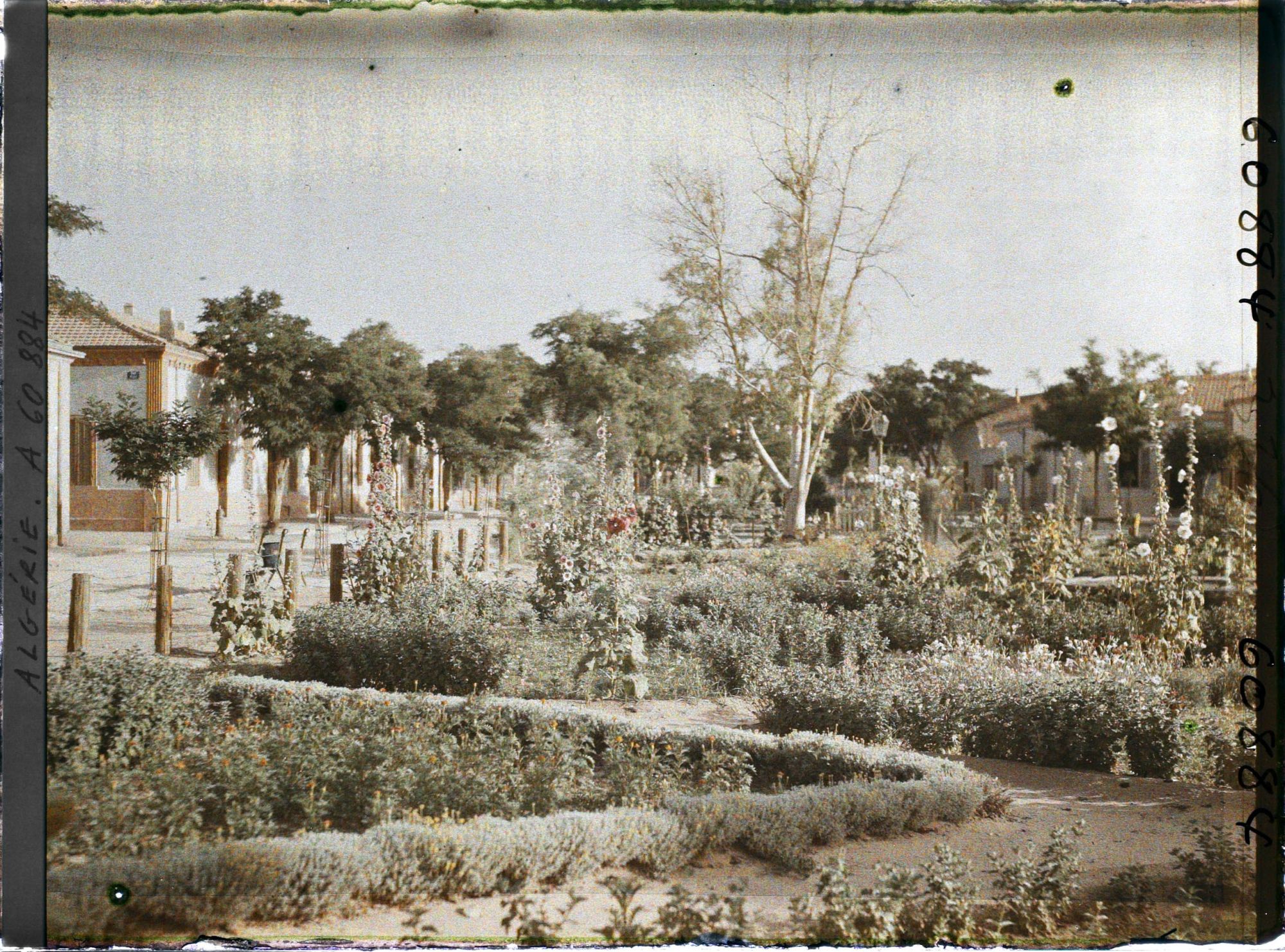 Image représentant Le jardin de la place de la République