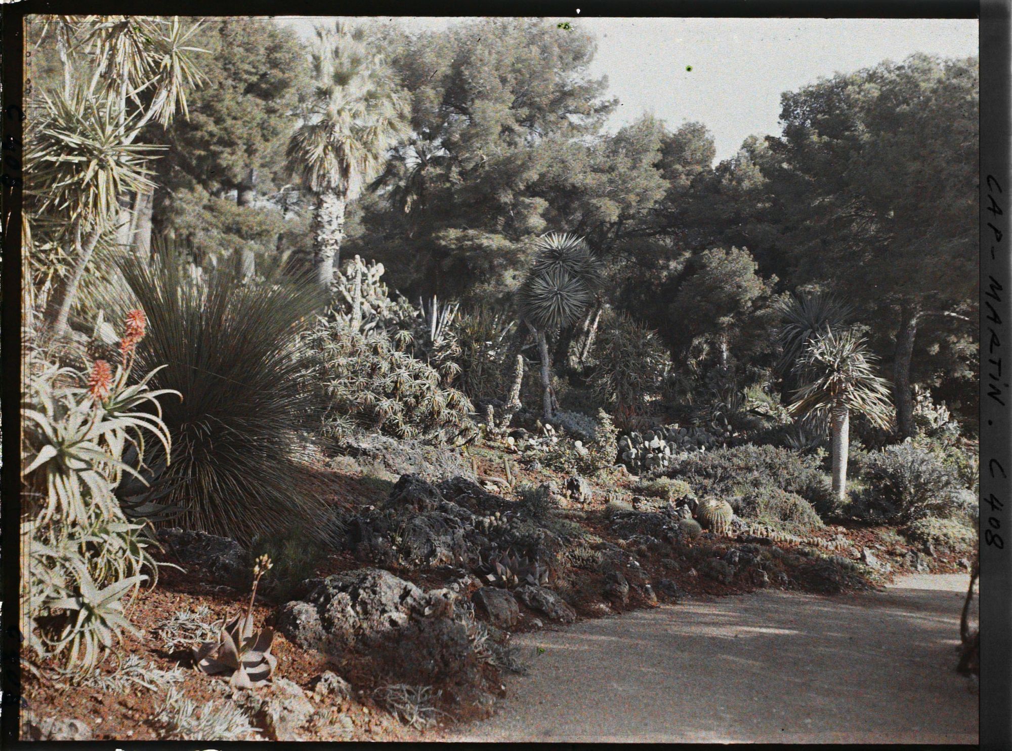 Image représentant Une alllée du jardin