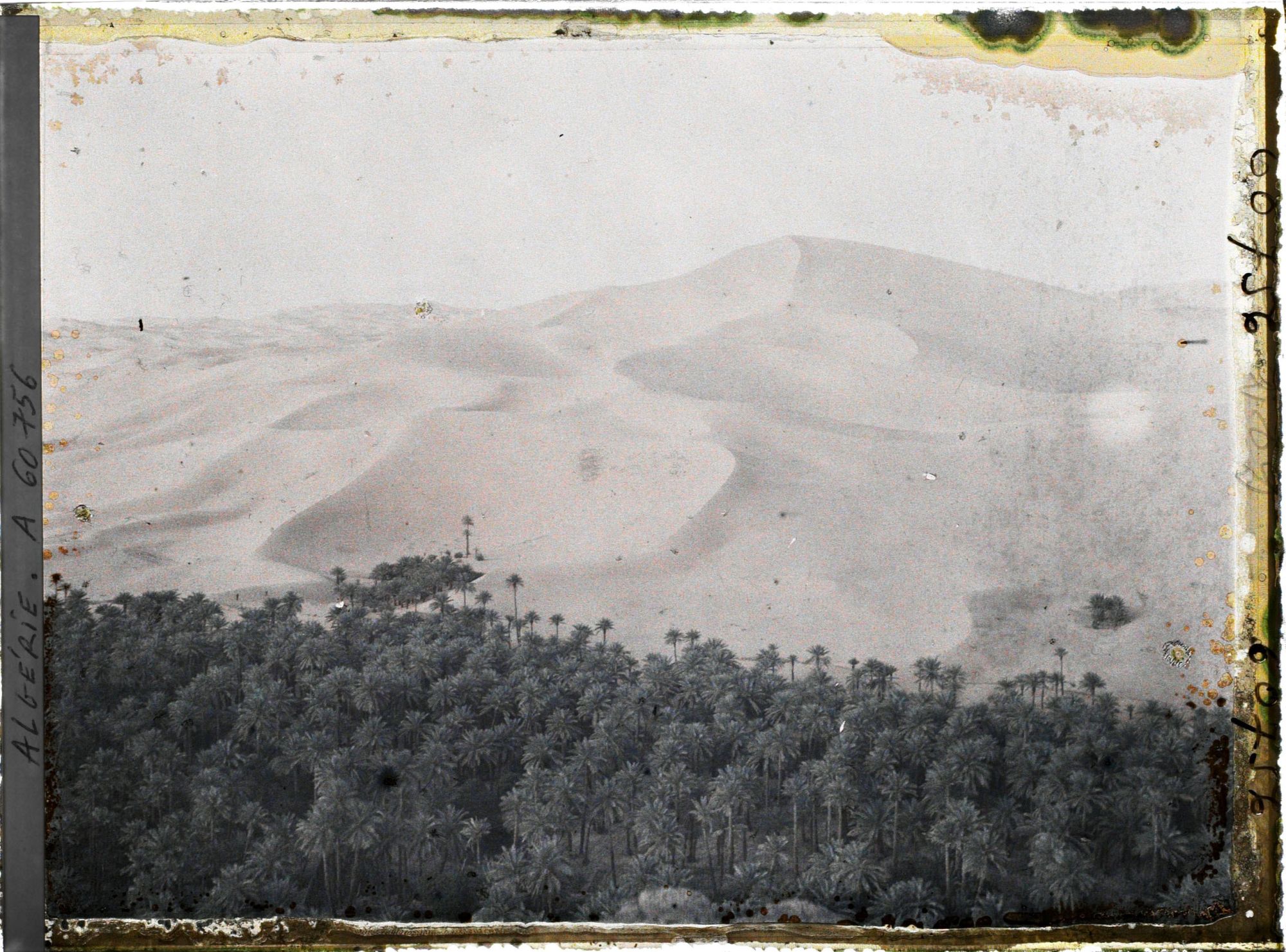 Image représentant L'oasis au pied du Grand Erg