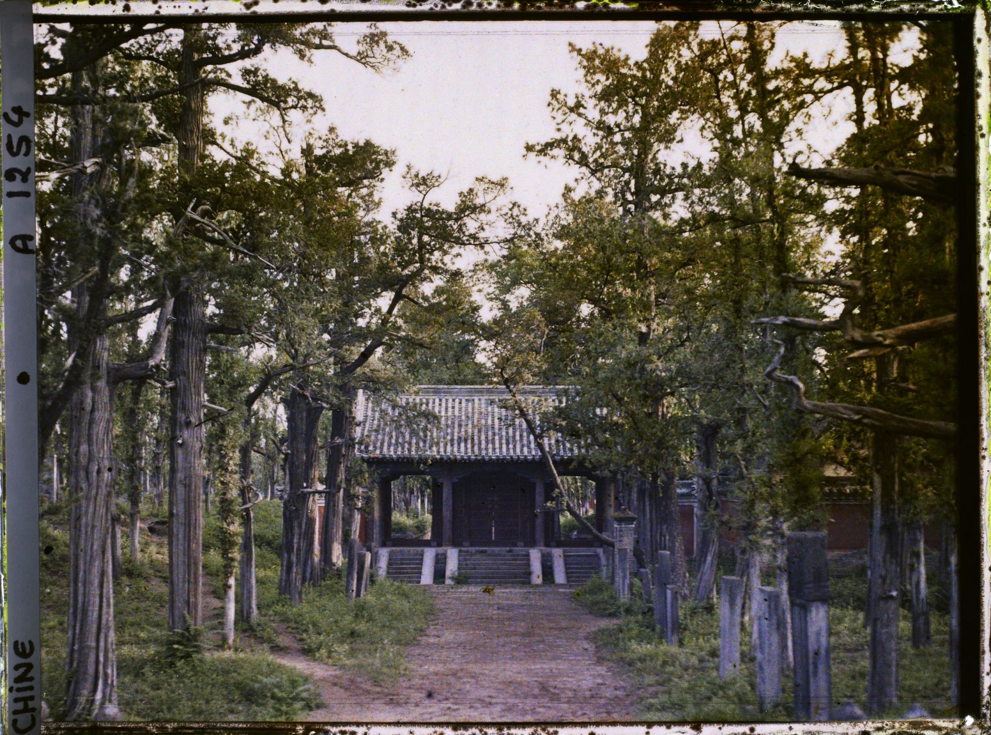 Image représentant Konglin, la nécropole de la famille de Confucius