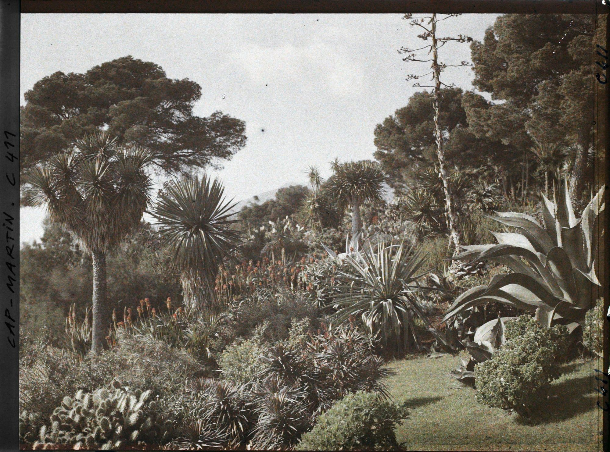 Image représentant Vue du jardin