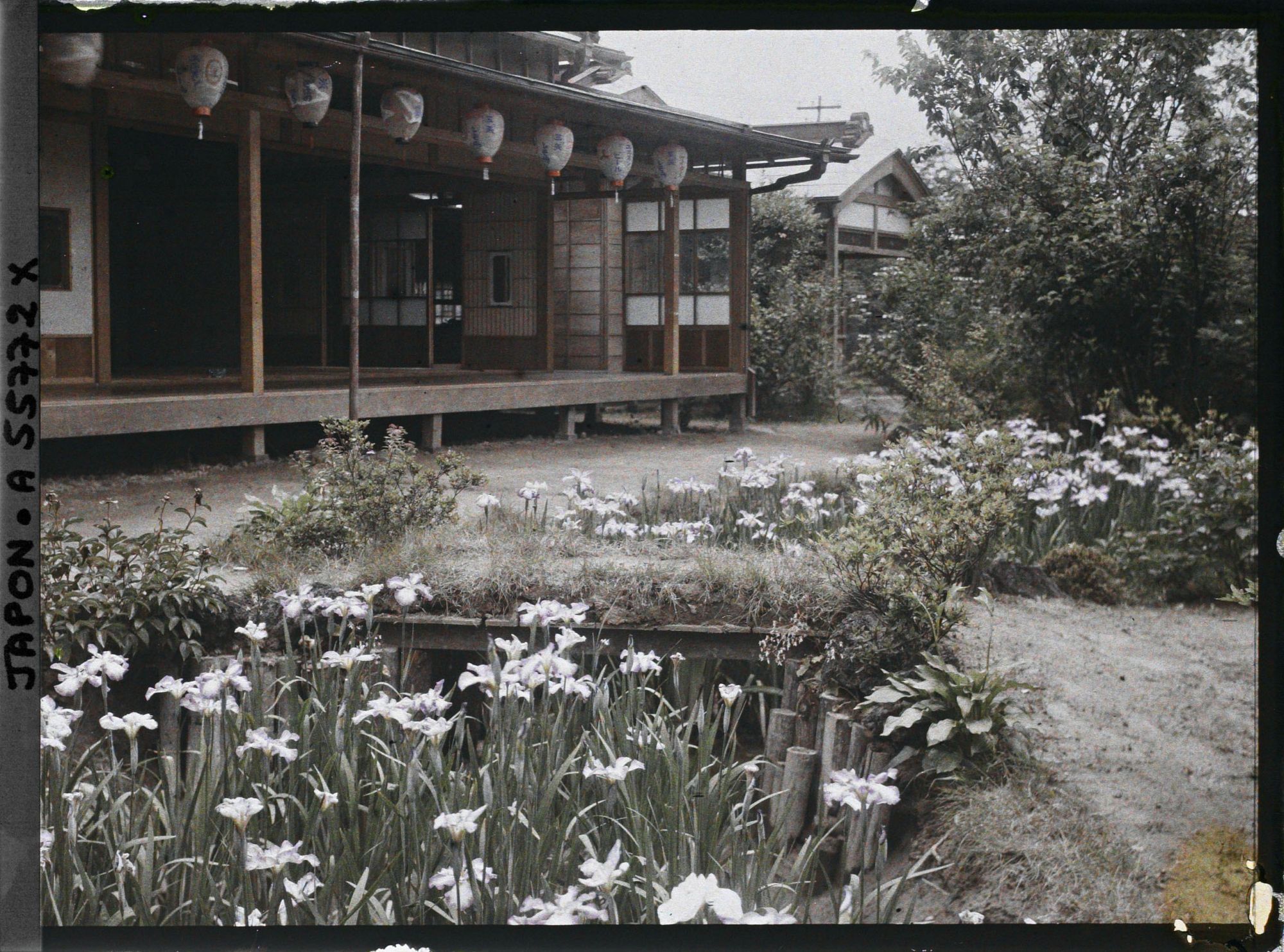 Image représentant Jardin d'iris de Horikiri