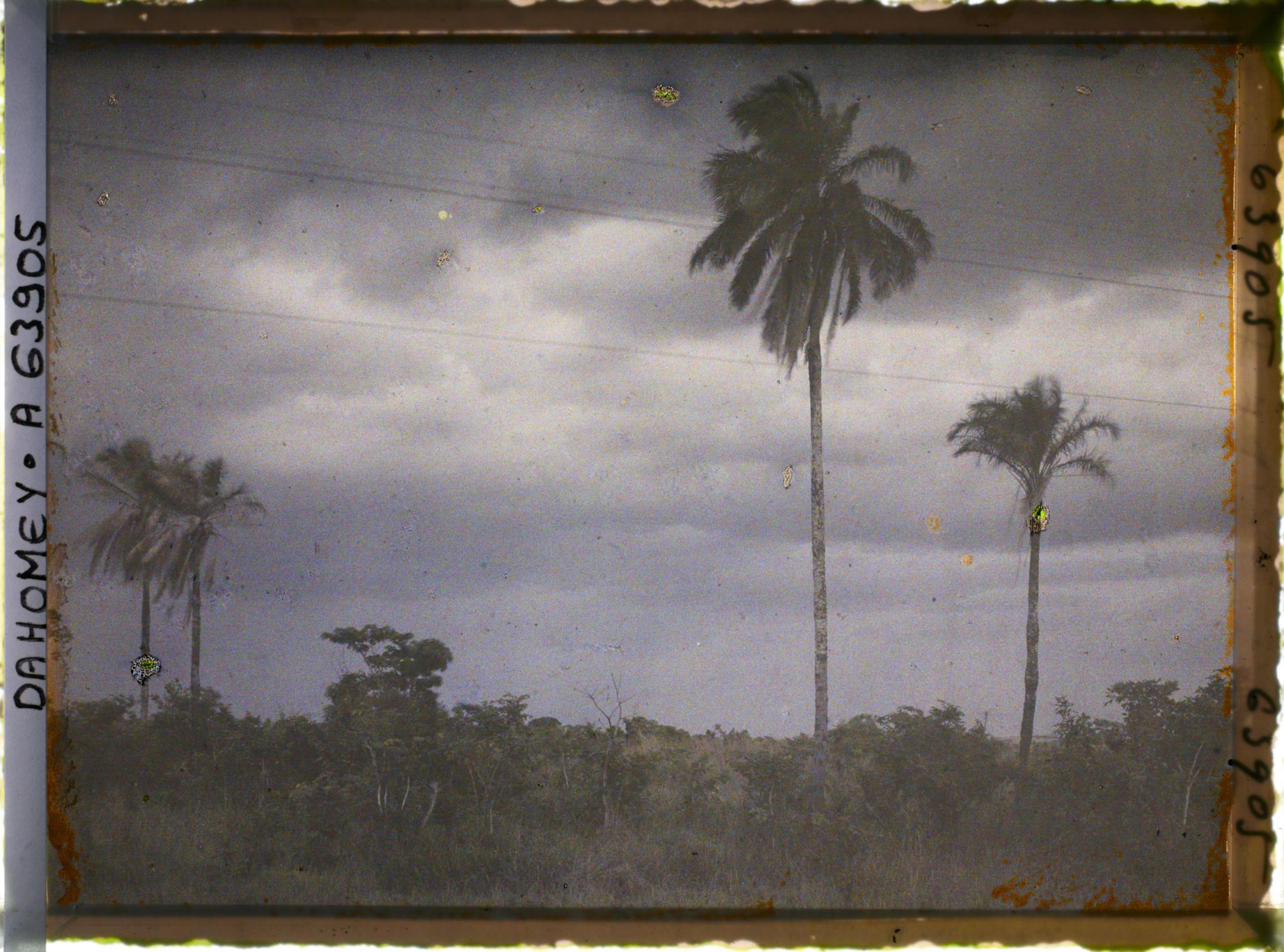 Image représentant Tornade en préparation