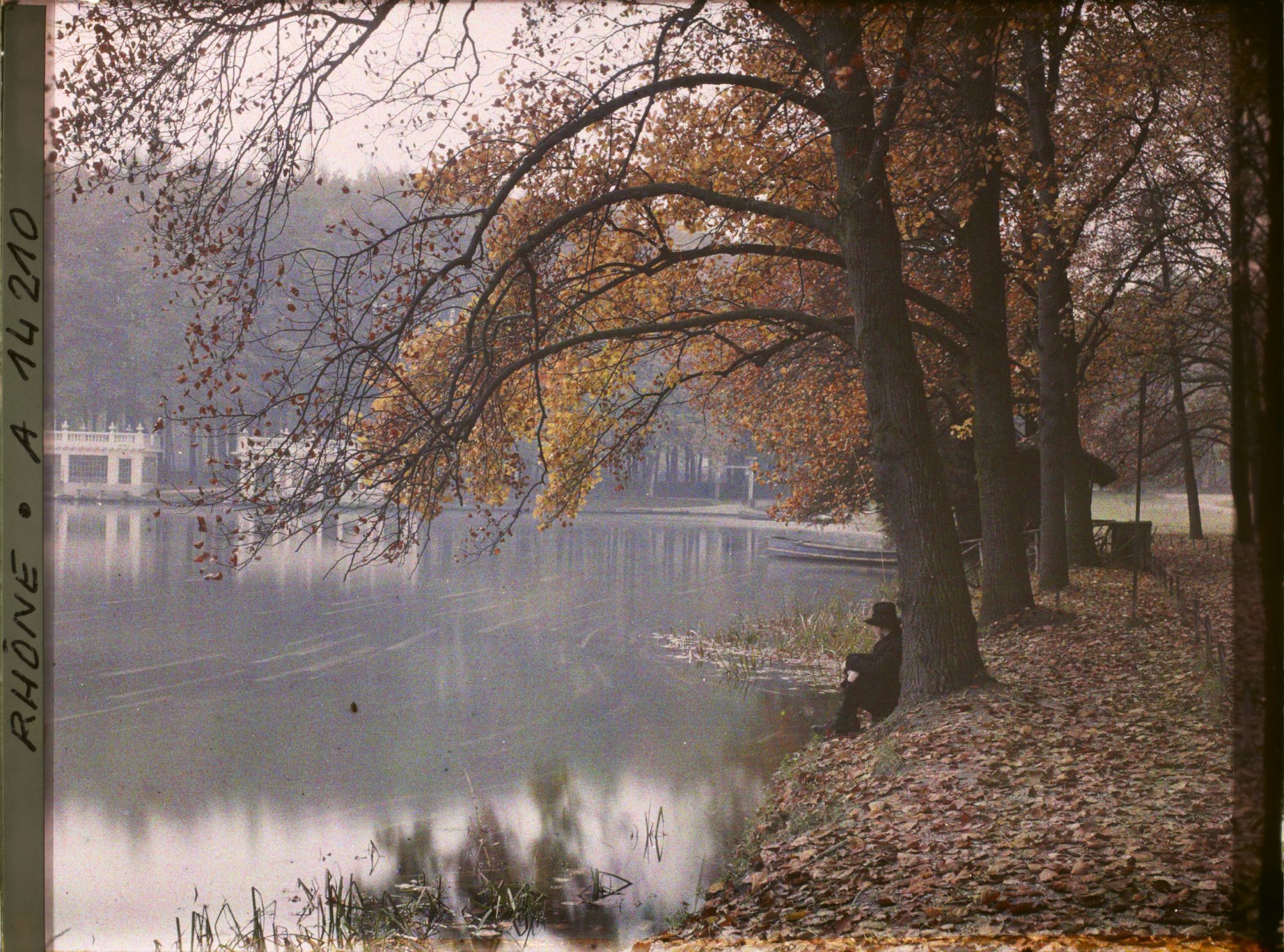 Image représentant Parc de la Tête d'Or