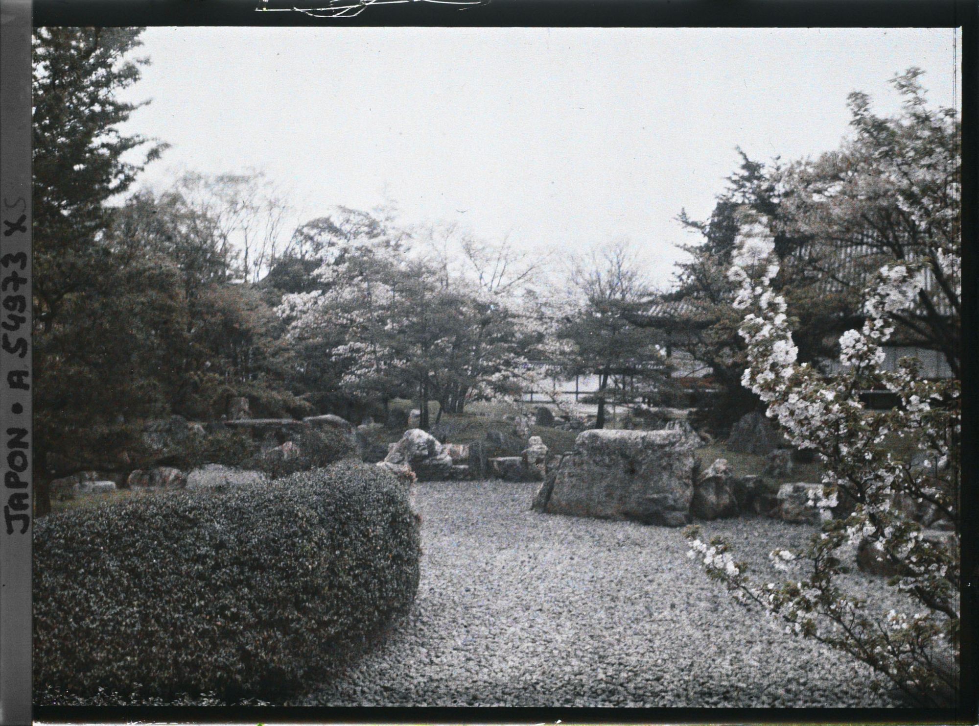 Image représentant Palais Nijô-jô : Jardin du palais Ni-no-Maru