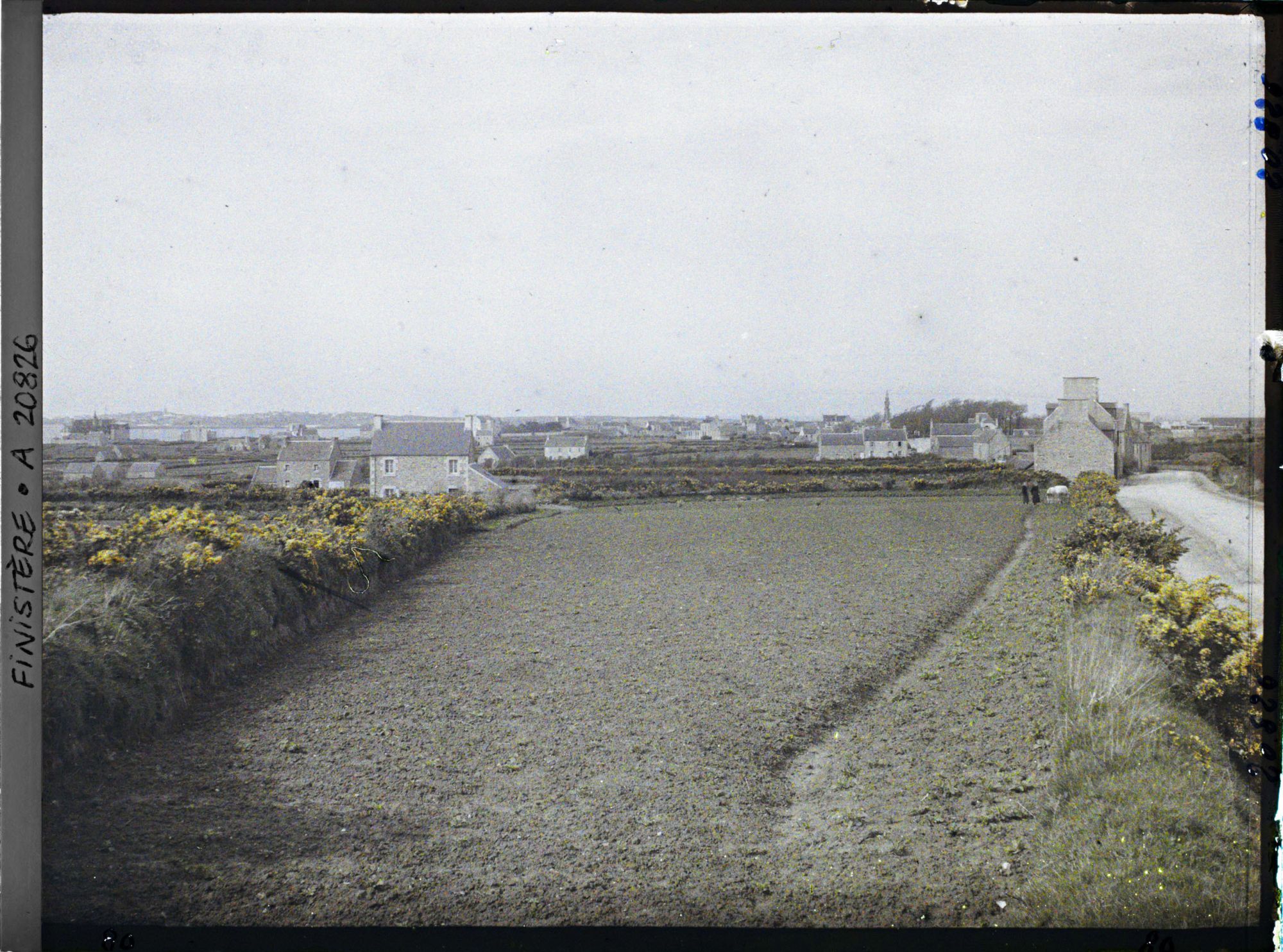 Image représentant Roscoff vu de la route de Saint-Pol-de-Léon