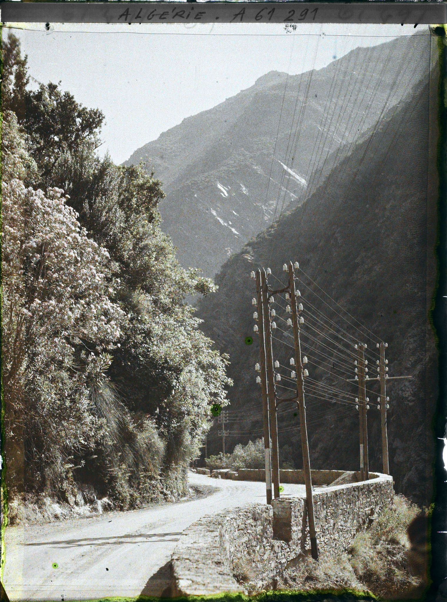 Image représentant La route dans les gorges
