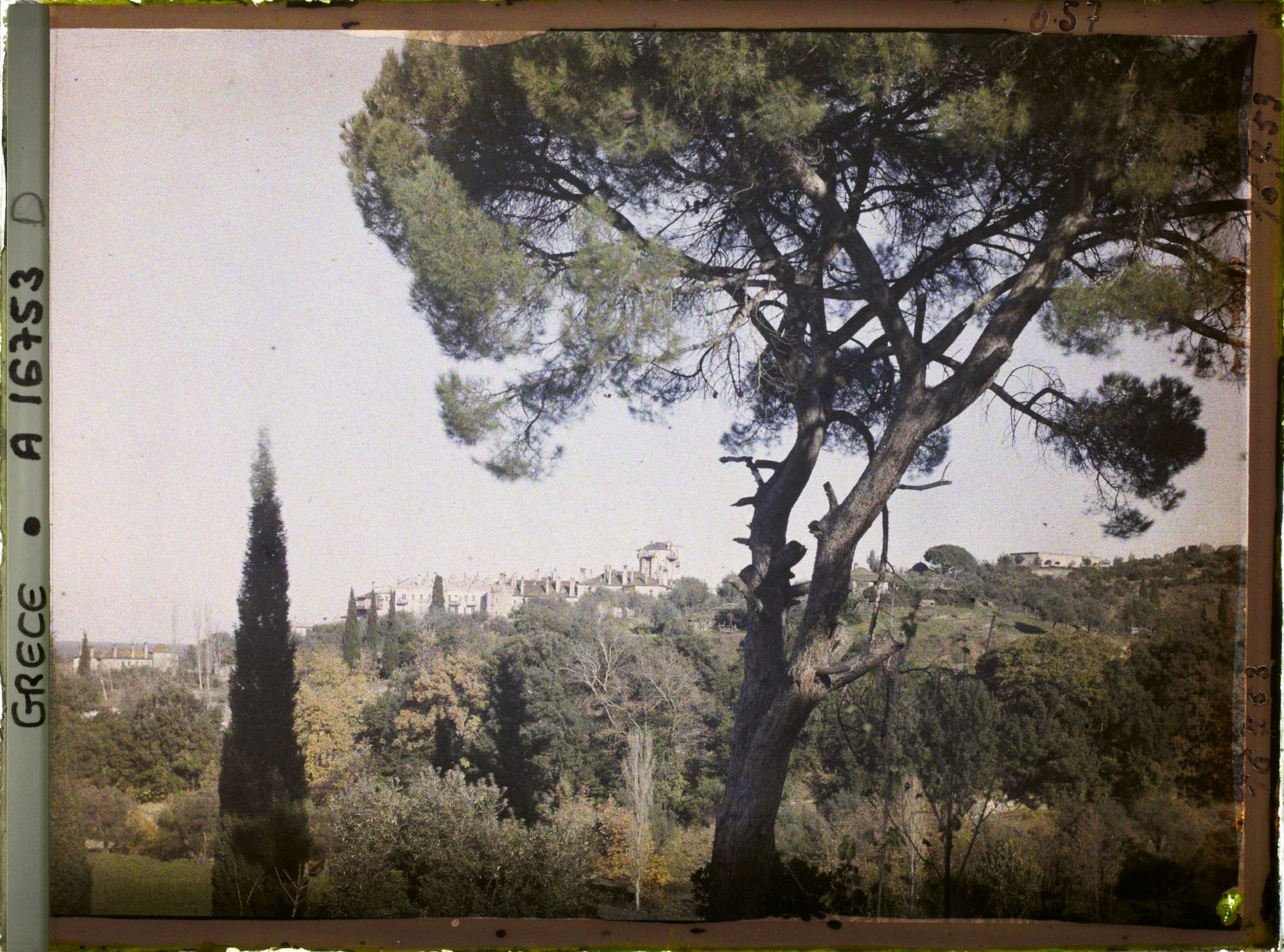 Image représentant Mont Athos, Vatopédi, Le Monastère vu à travers les pins