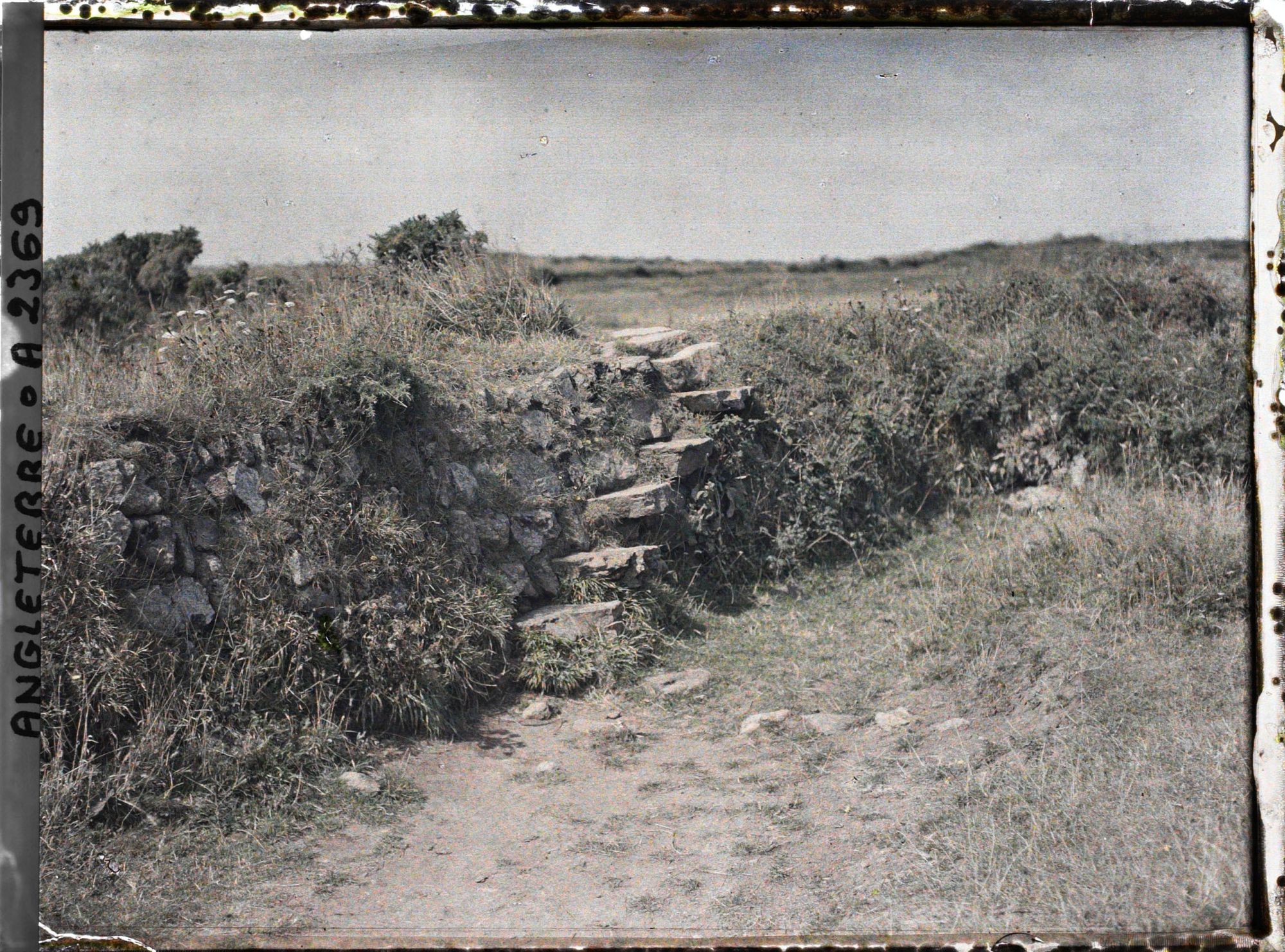 Image représentant Petit escalier de pierre