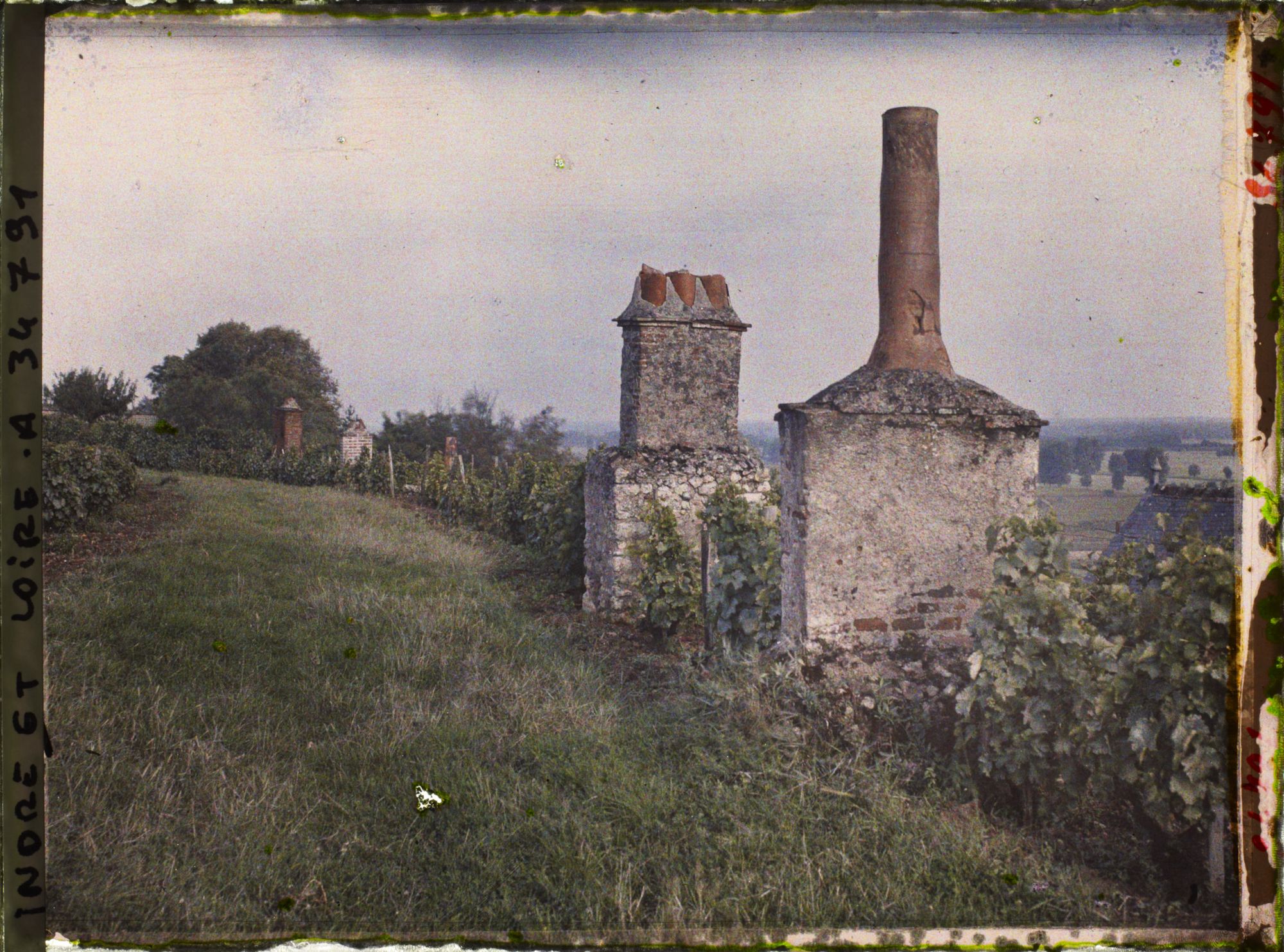 Image représentant Cheminées de maisons troglodytes