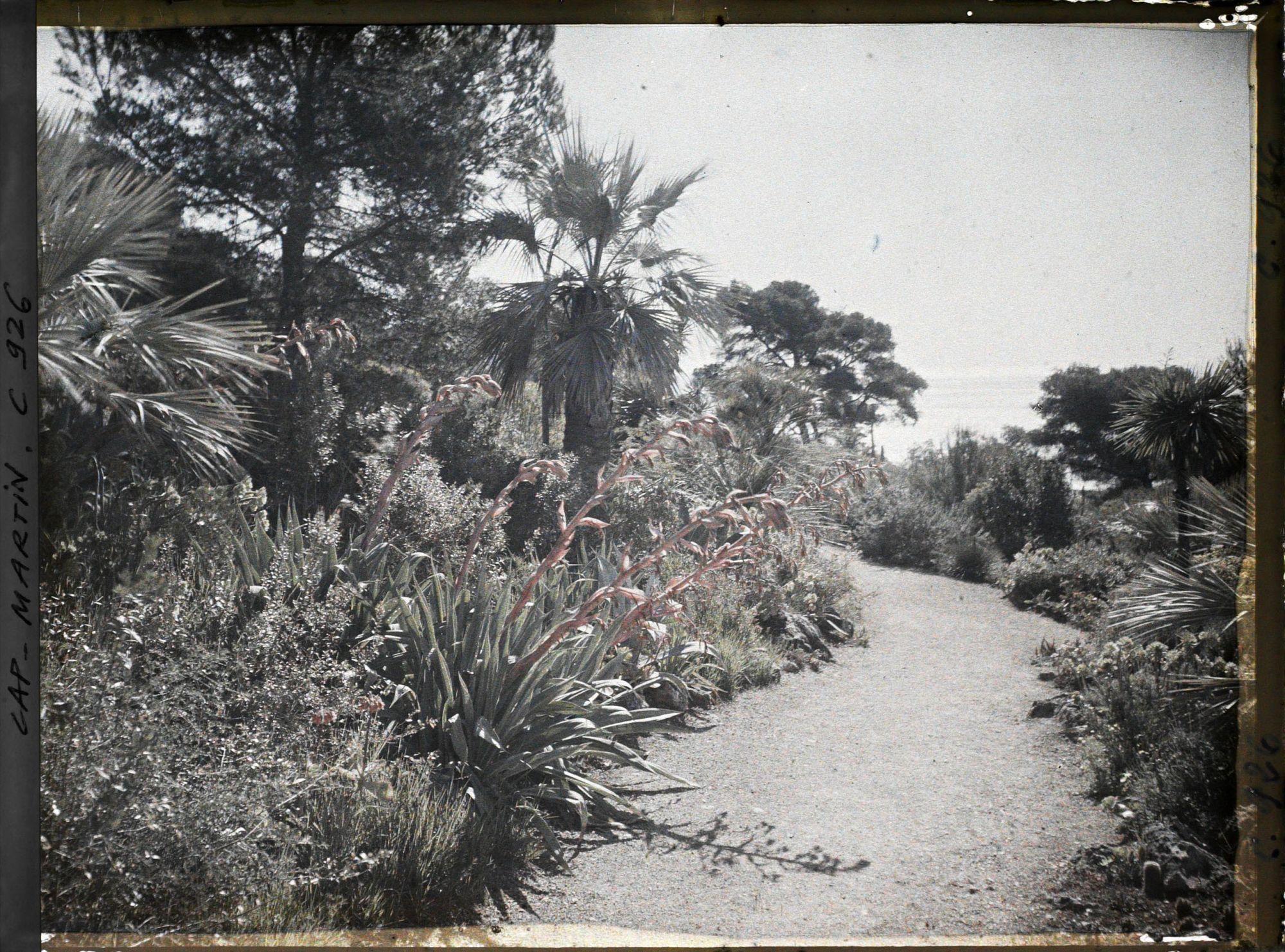 Image représentant Le Jardin