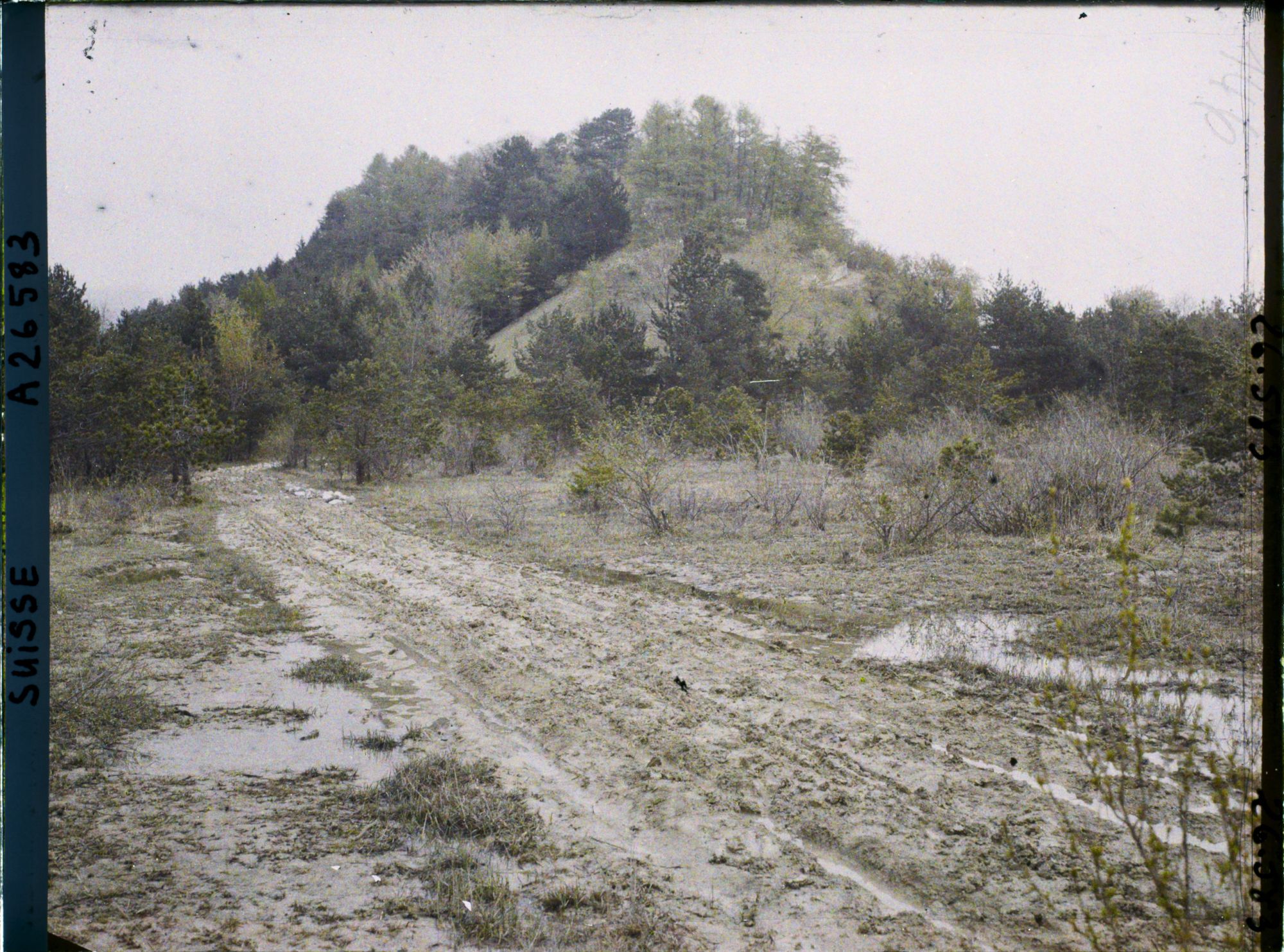 Image représentant L'île Saint-Pierre