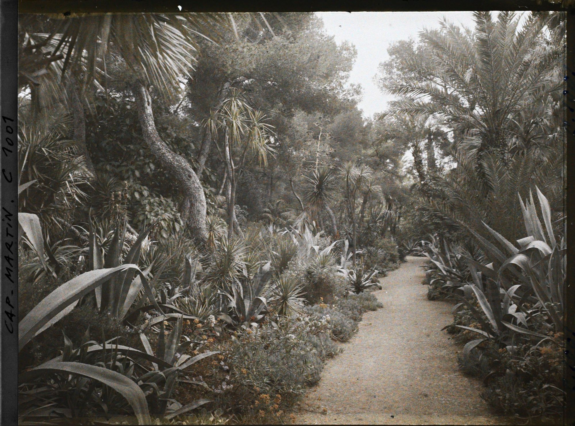 Image représentant Le Jardin