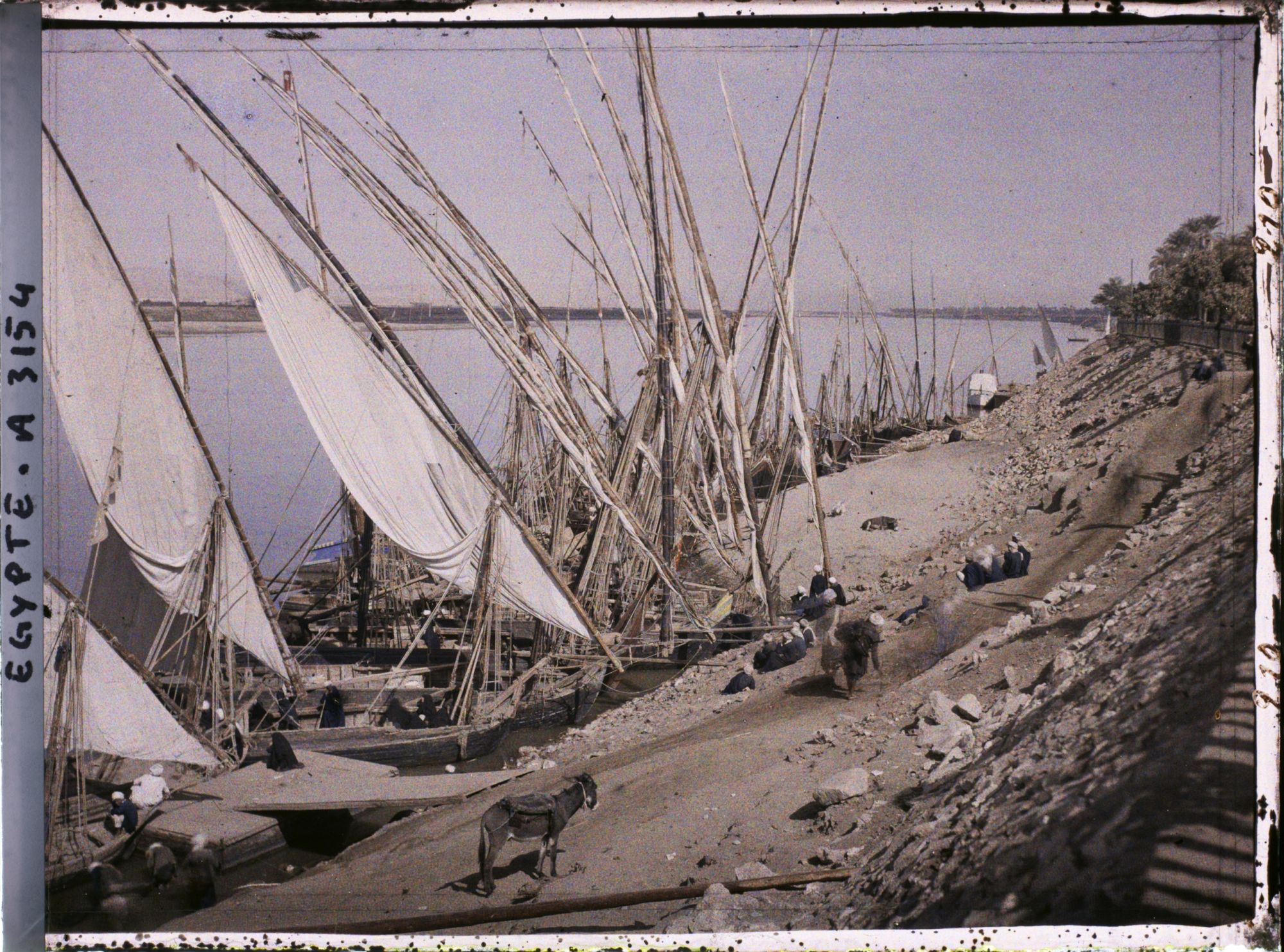 Image représentant Bords du Nil