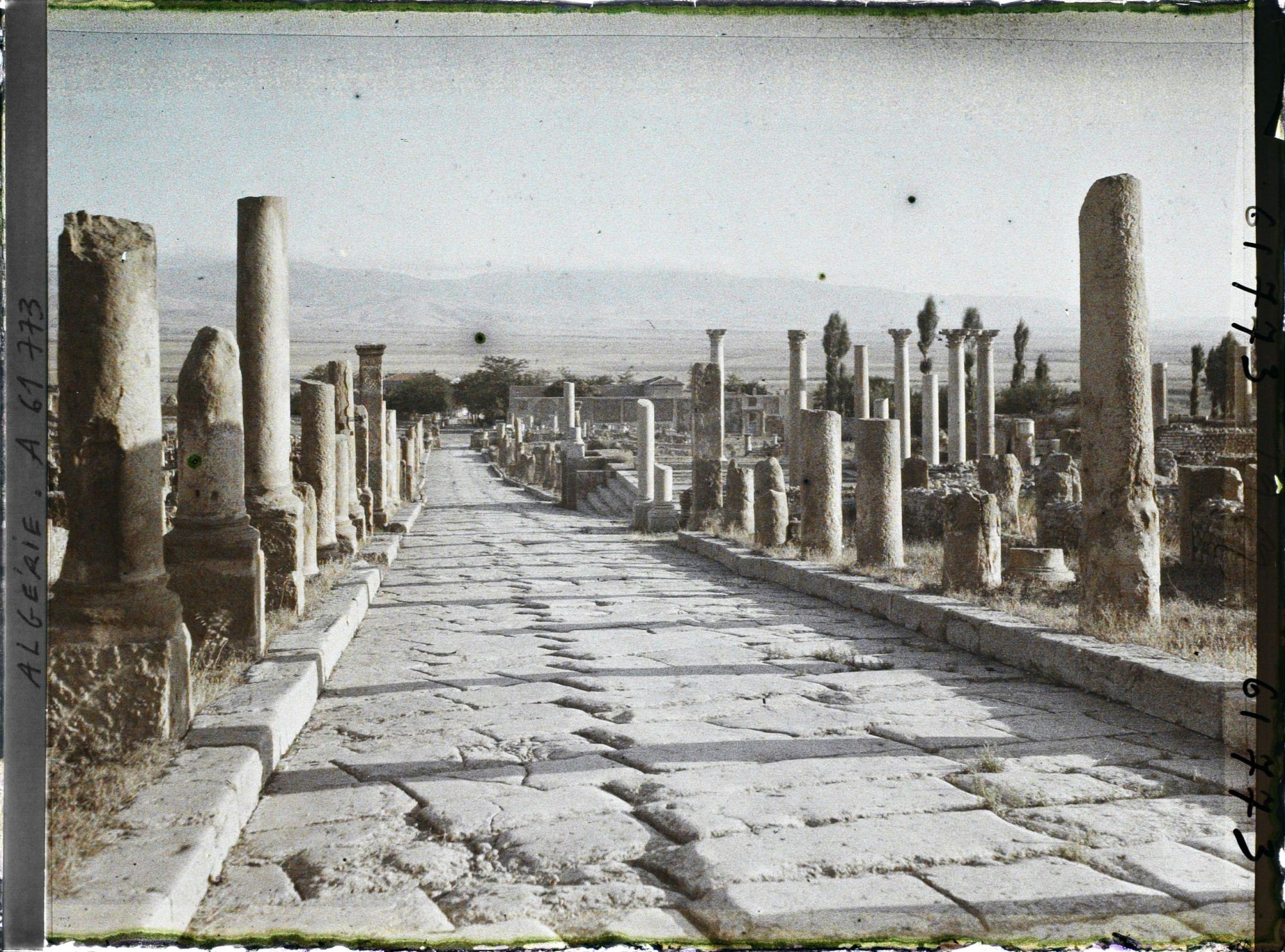 Image représentant Algérie, Le Cardo Nord