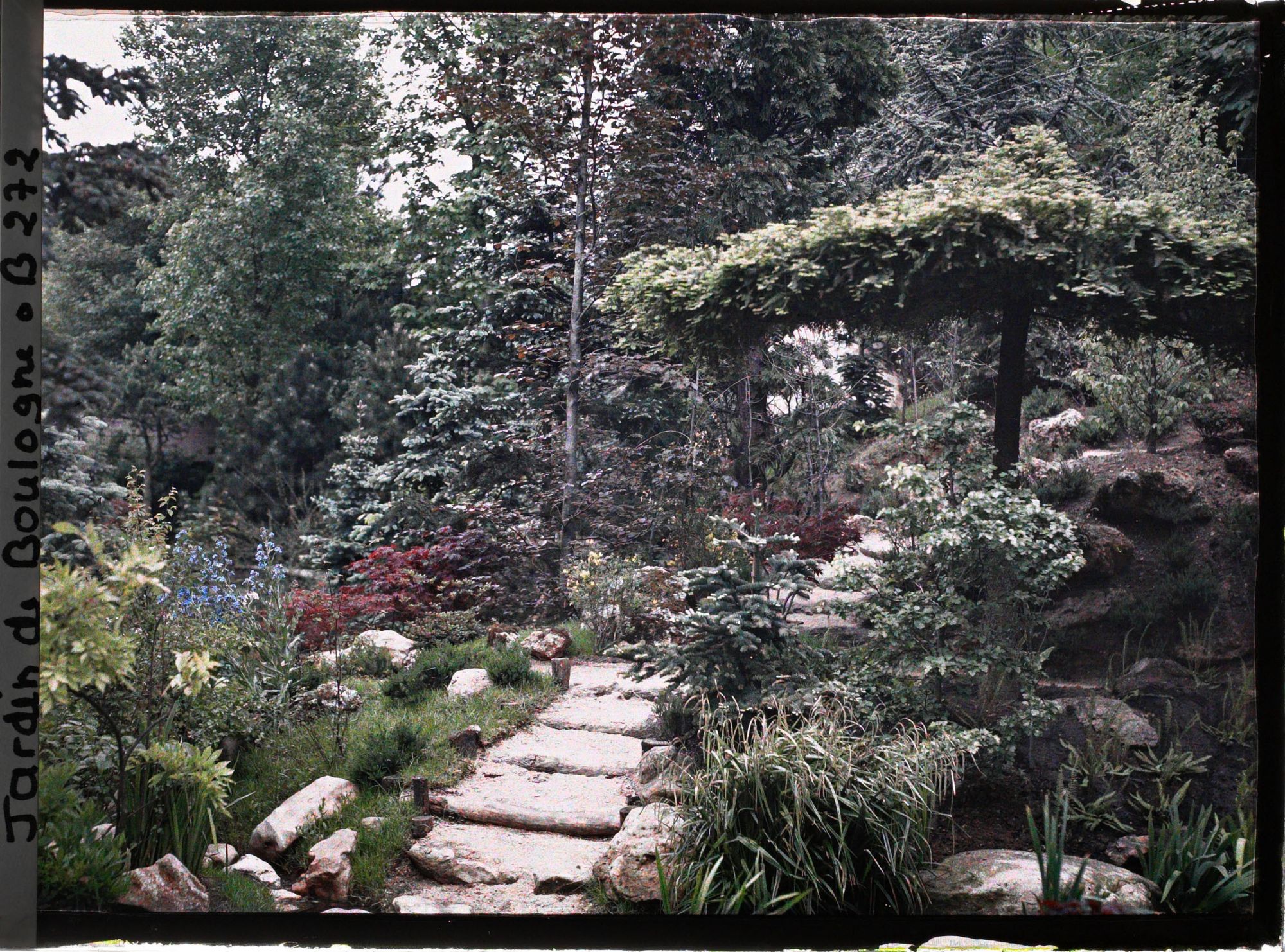 Image représentant Arbre parasol du " sanctuaire japonais " proche de la façade de temple et de la porte d'accès au " village japonais "