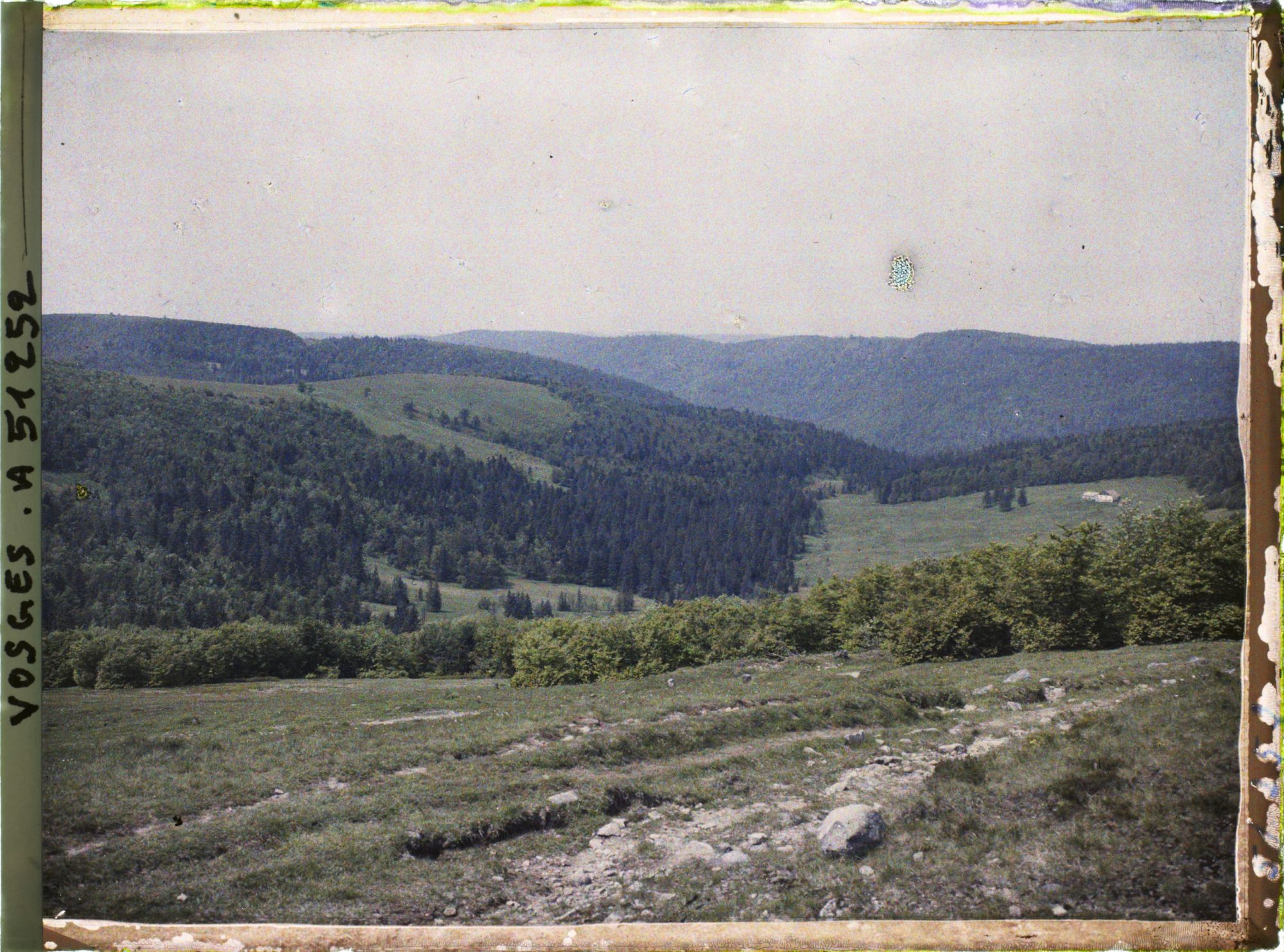 Image représentant Alsace, Houhneck, Les pâturages vus des pentes Sud-Ouest du Honhneck