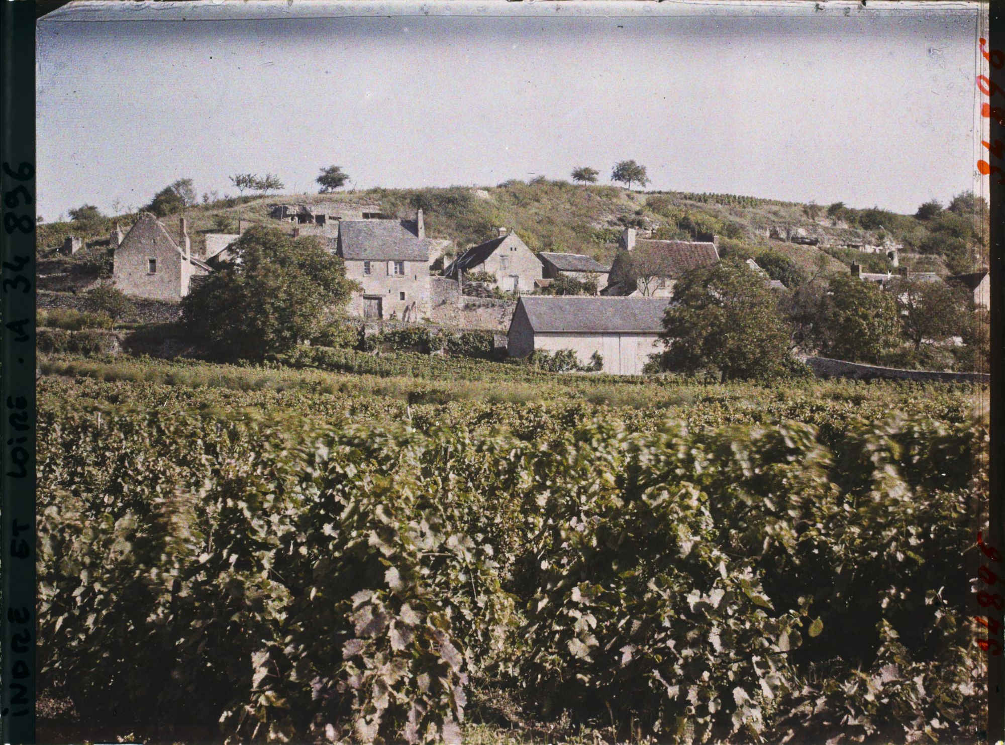 Image représentant Vignoble des coteaux de Vouvray