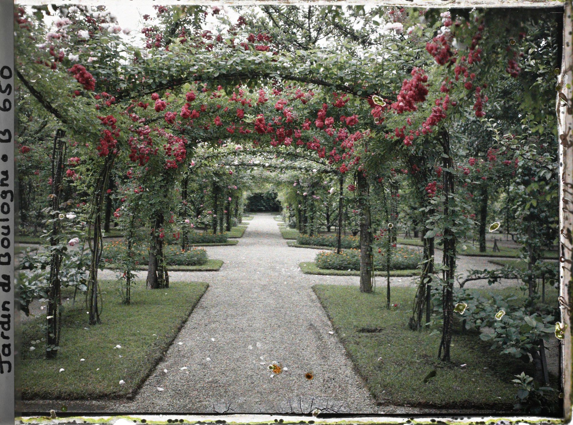 Image représentant Axe central du verger-roseraie vu en direction de la dépendance, à la limite du jardin français