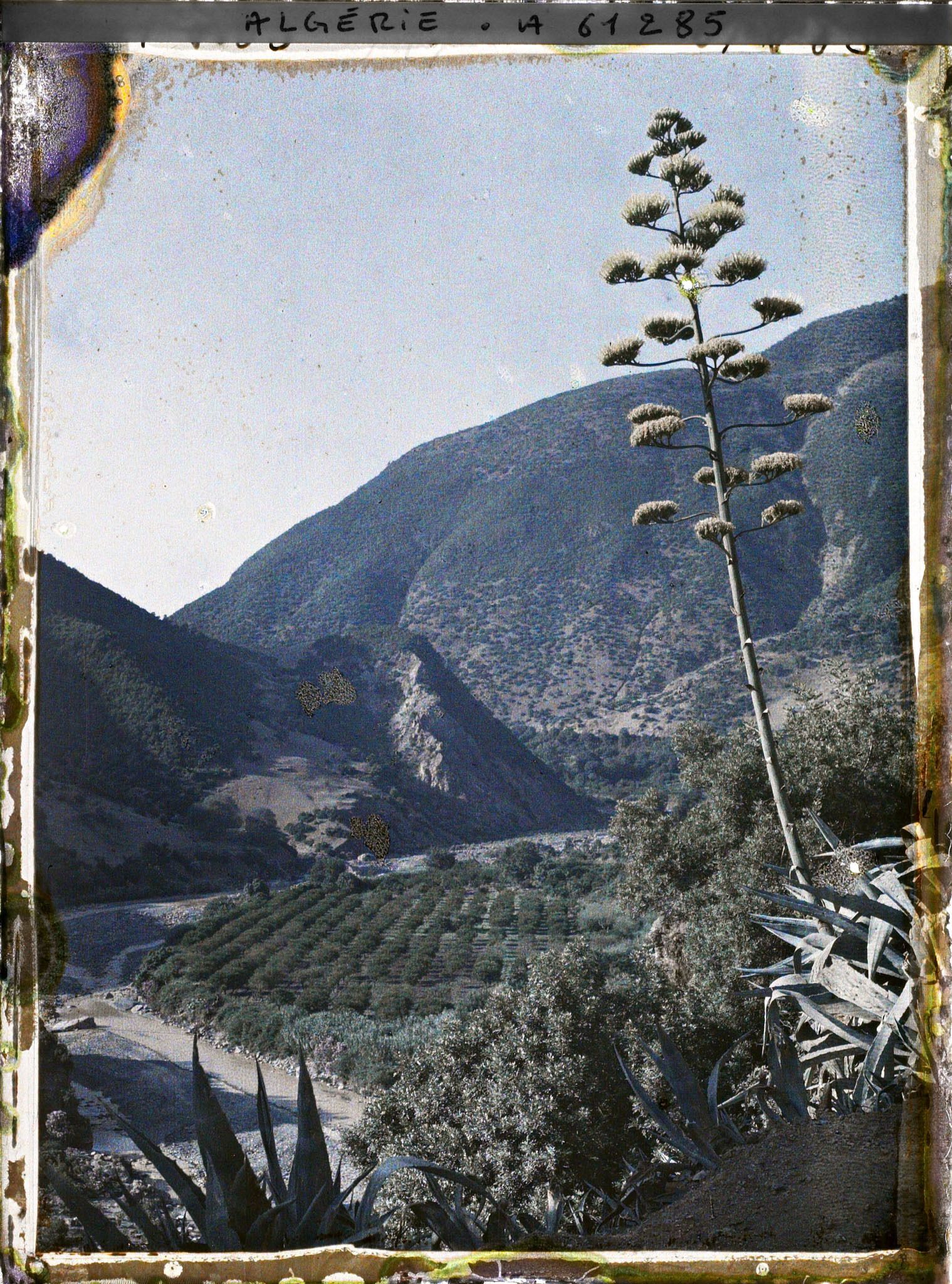 Image représentant Les gorges à Sidi Madani