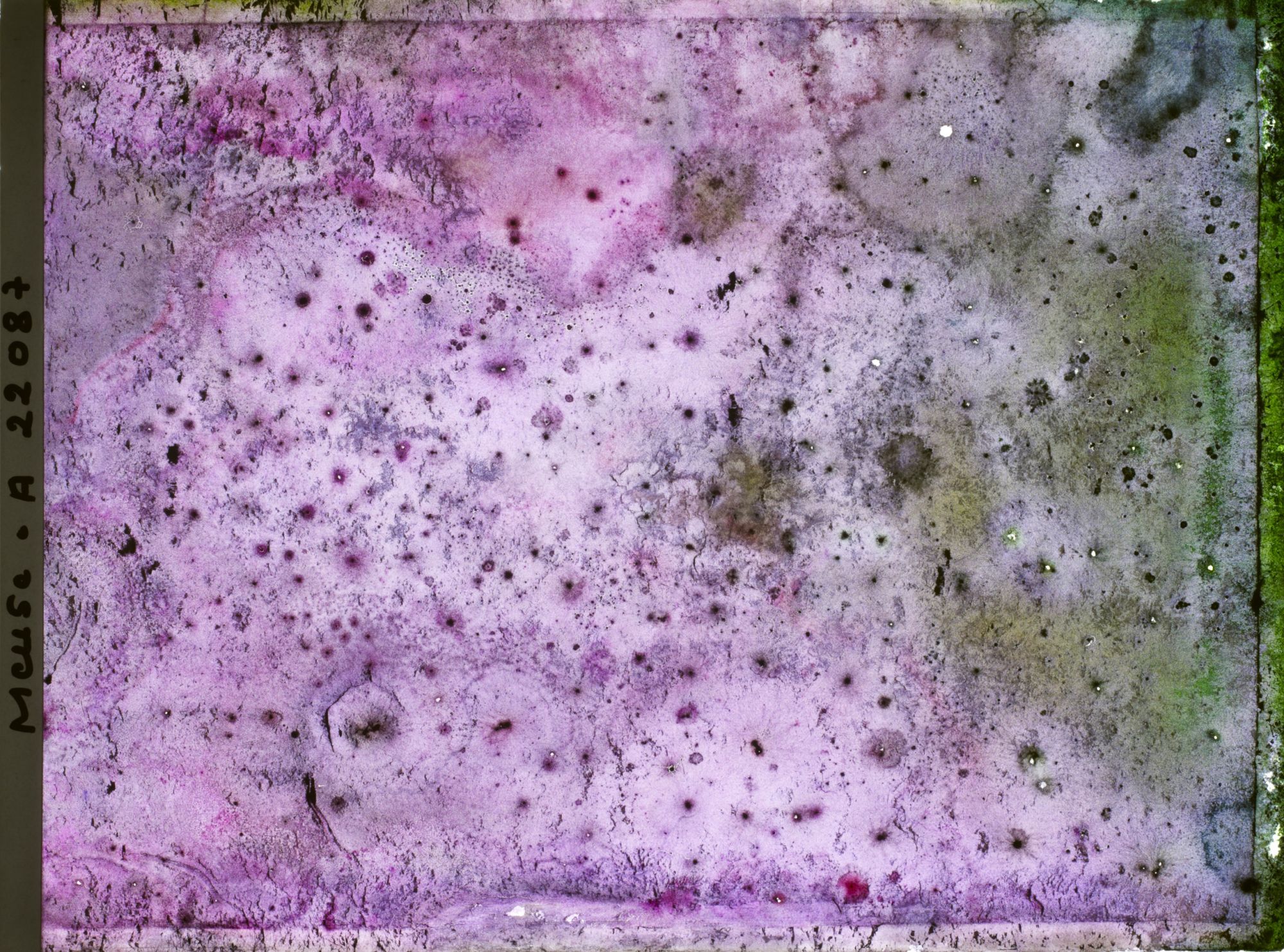 Image représentant Image illisible, plaque endommagée par l'eau (altérations d'époque)