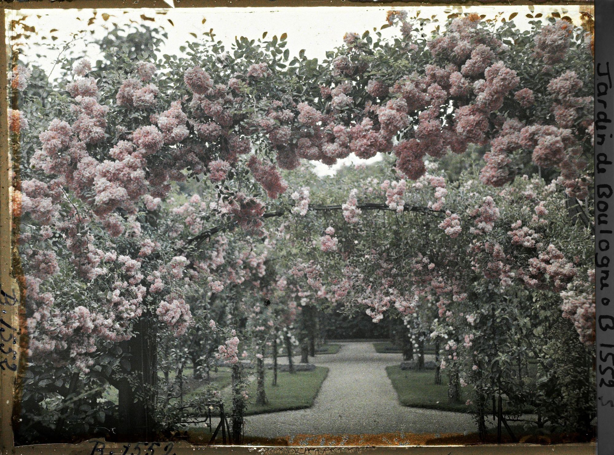 Image représentant Axe central du verger-roseraie vu depuis le second carrefour avant la dépendance