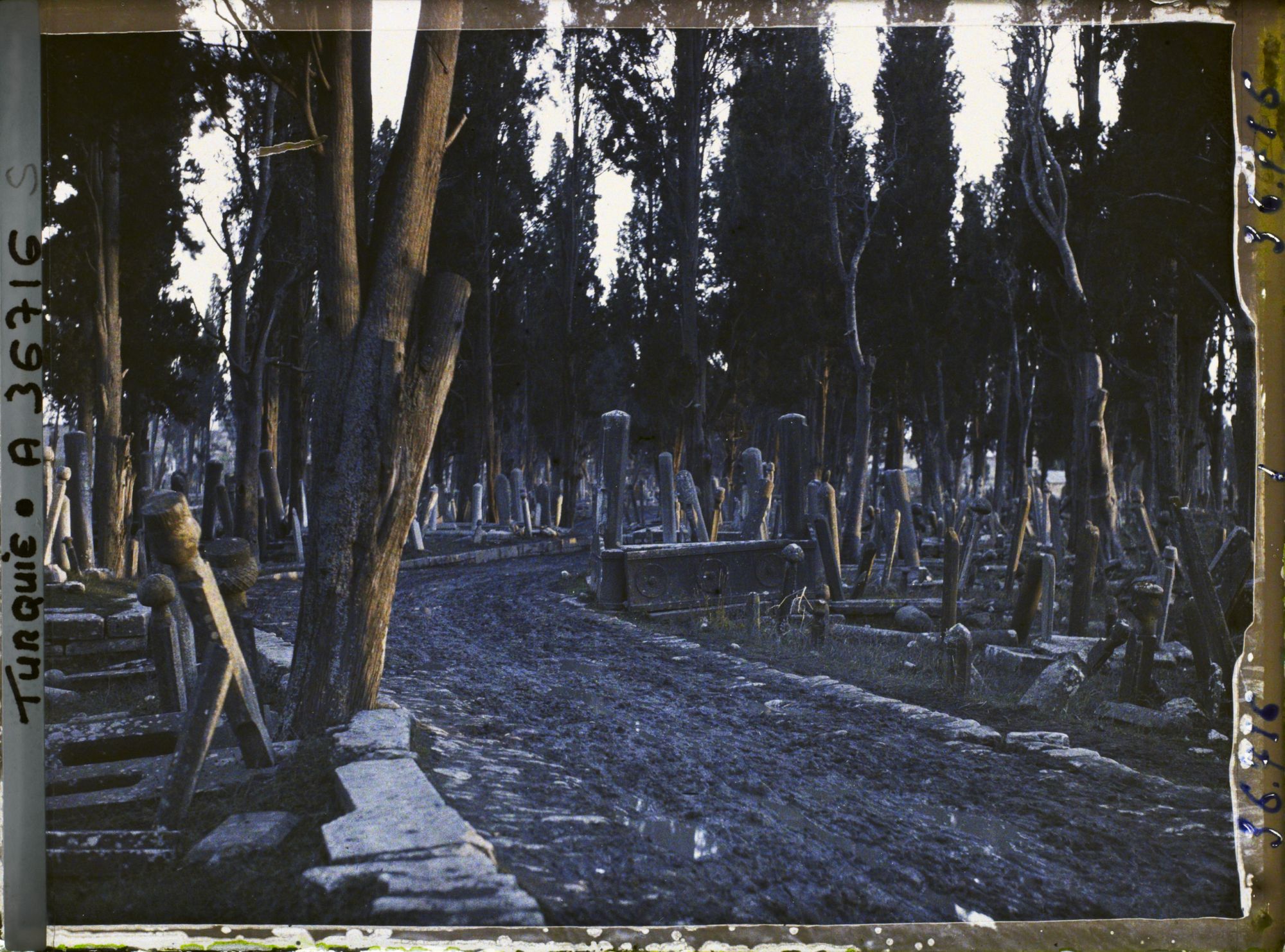 Image représentant Le cimetière musulman de Teckfaur-Seraï au crépuscule