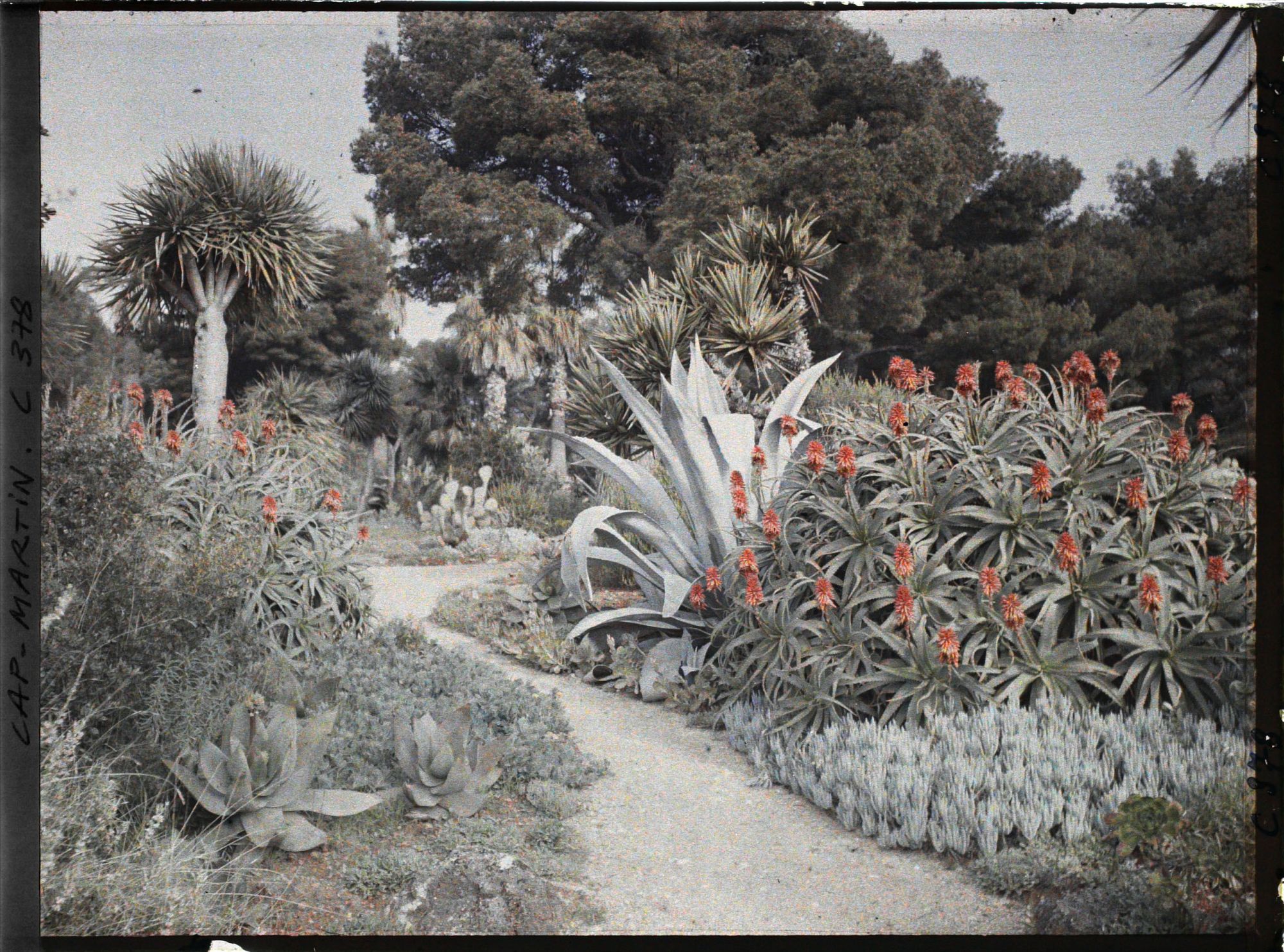 Image représentant Cap Martin Le Jardin