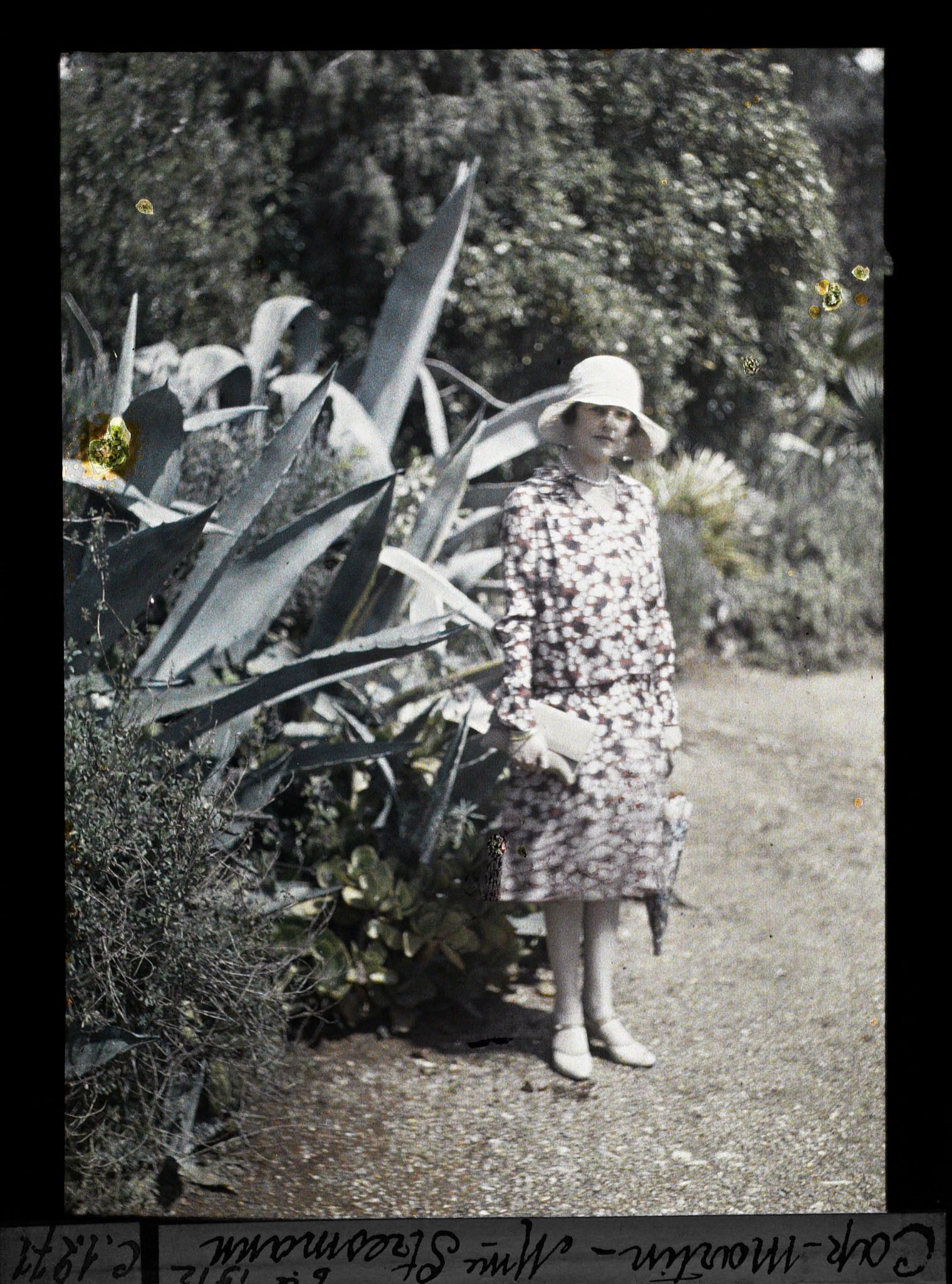 Image représentant Madame Stresemann, veuve de Gustav Stresemann, ministre des Affaires étrangères d'Allemagne